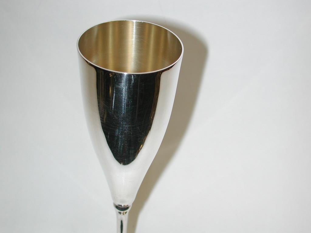 stainless steel champagne glasses