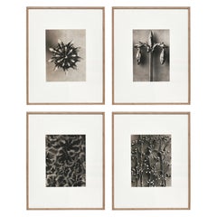 Paper Photography