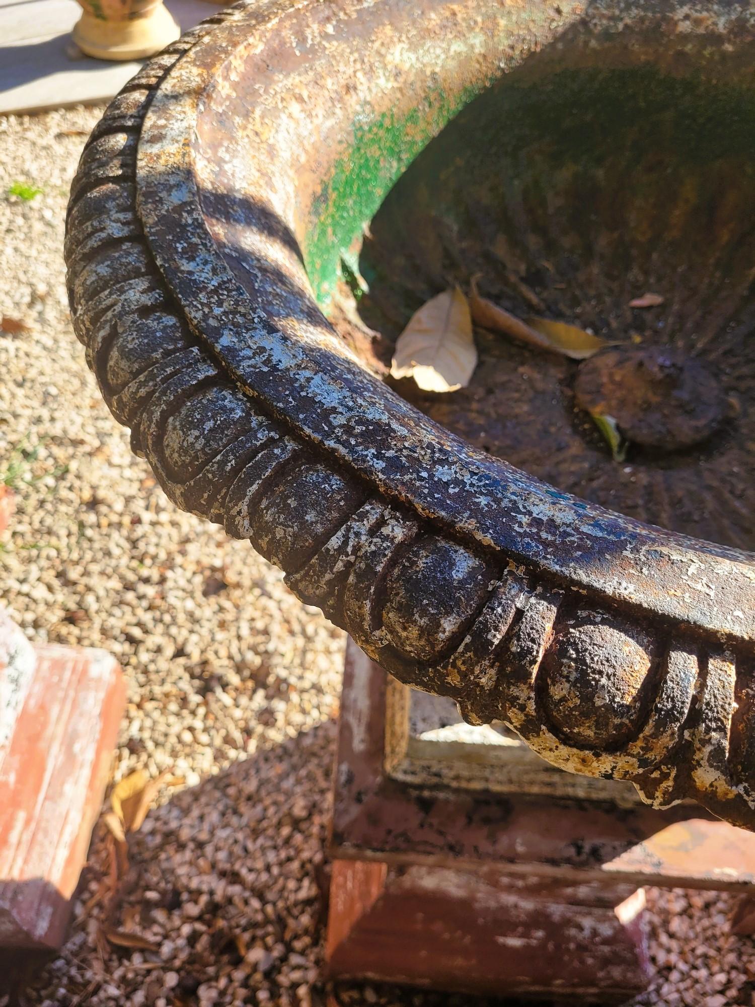 Set Of 4 Large Cast Iron Garden Vases On Terracotta Bases, 19th Century For Sale 5