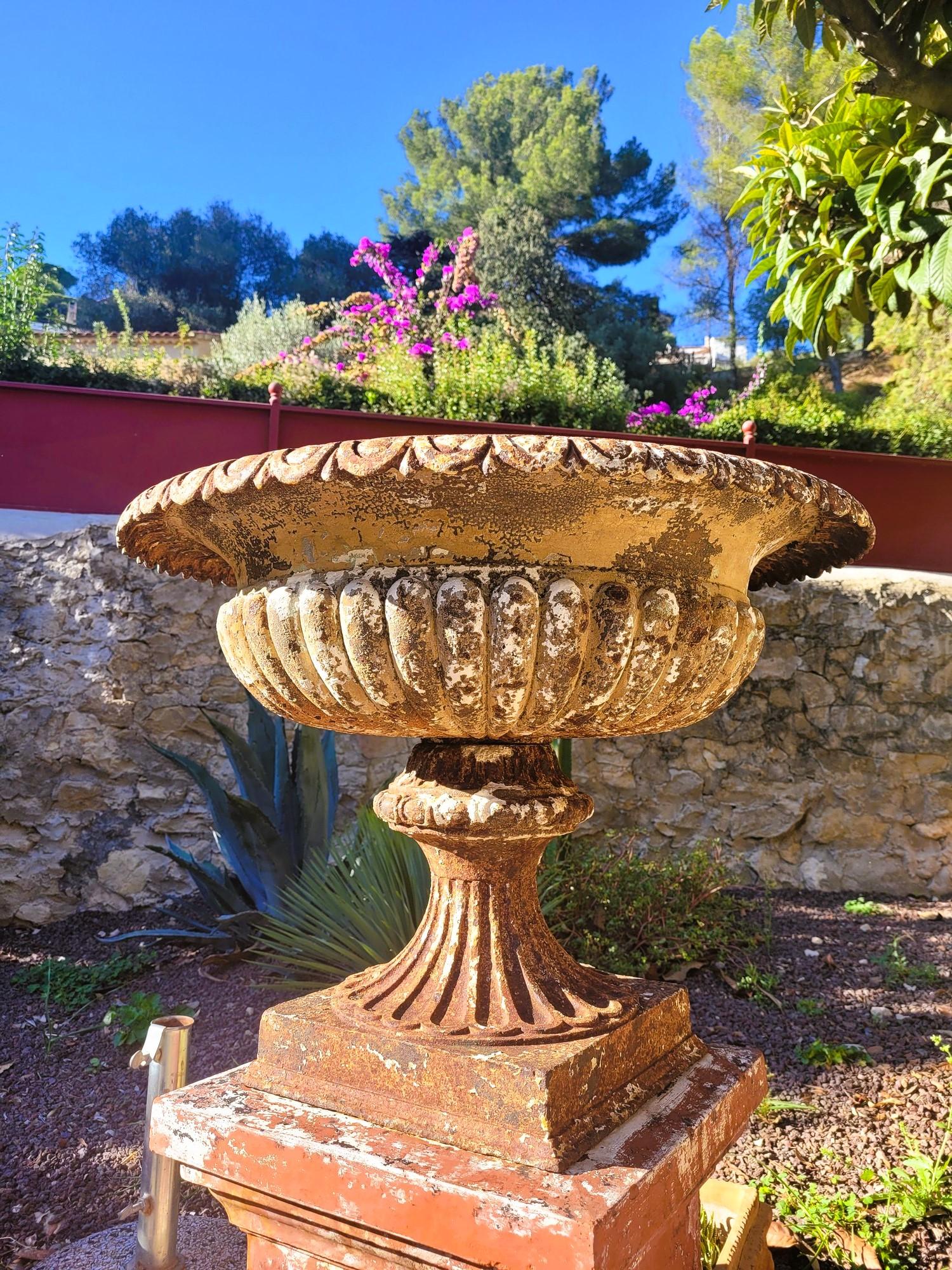 Louis XVI Set Of 4 Large Cast Iron Garden Vases On Terracotta Bases, 19th Century For Sale