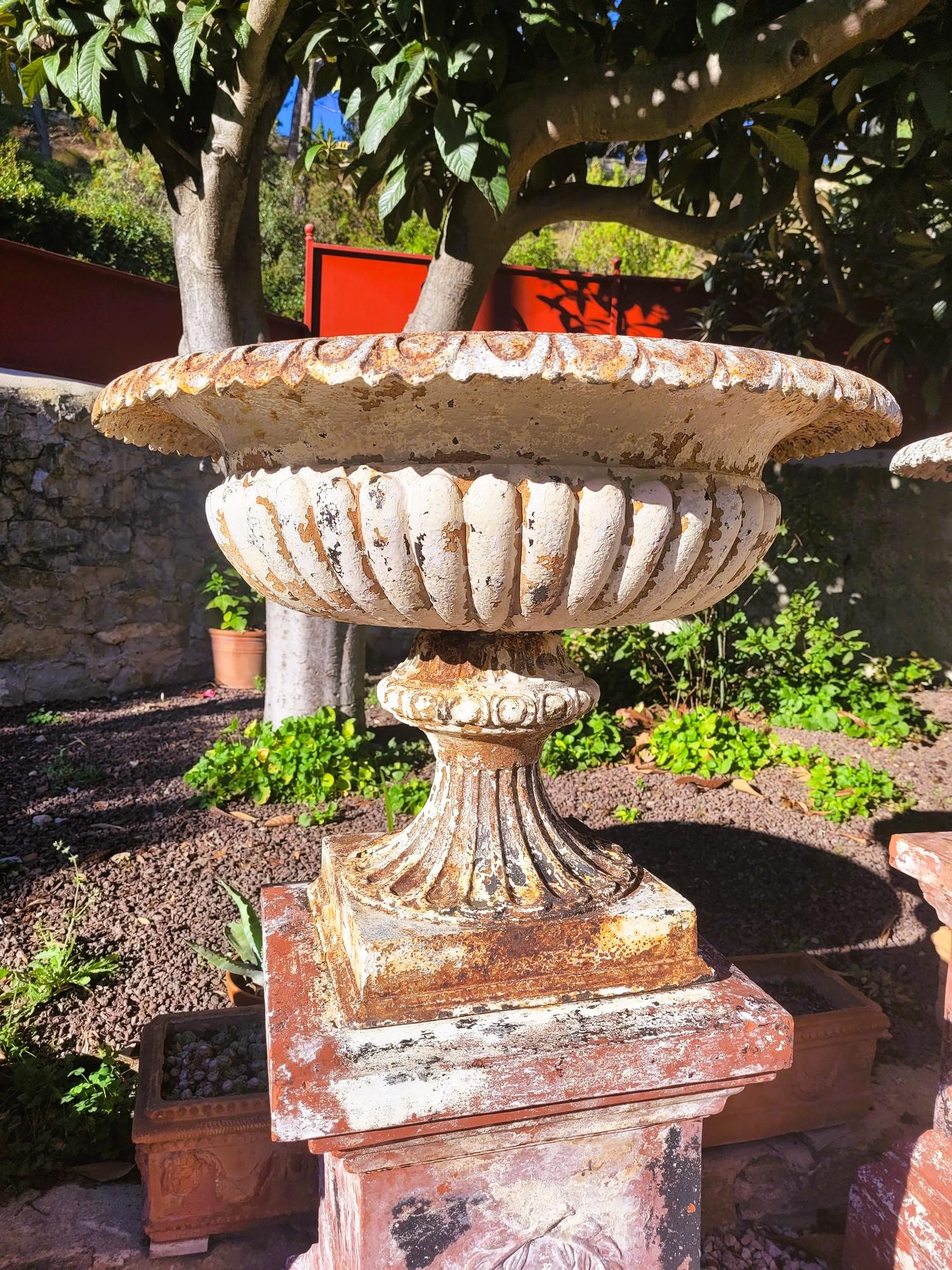 Set Of 4 Large Cast Iron Garden Vases On Terracotta Bases, 19th Century For Sale 3