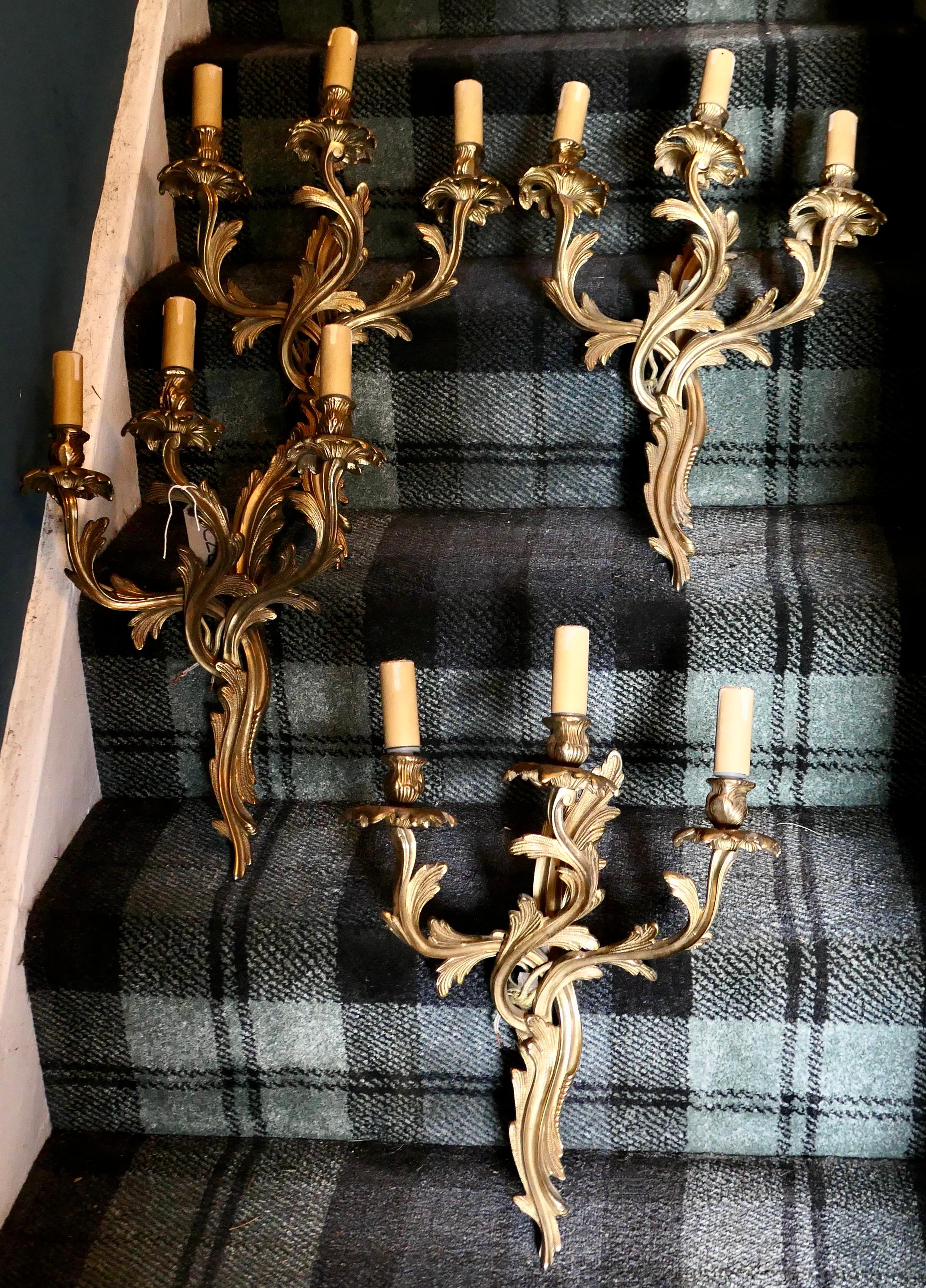 Set of 4 large french brass 3 branch wall lights


A very handsome set of Large Heavy Brass wall lights, the lights are in the classical style of a twisted acanthus leaf scroll branches 
Each light has 3 branches each with a sconce and candle