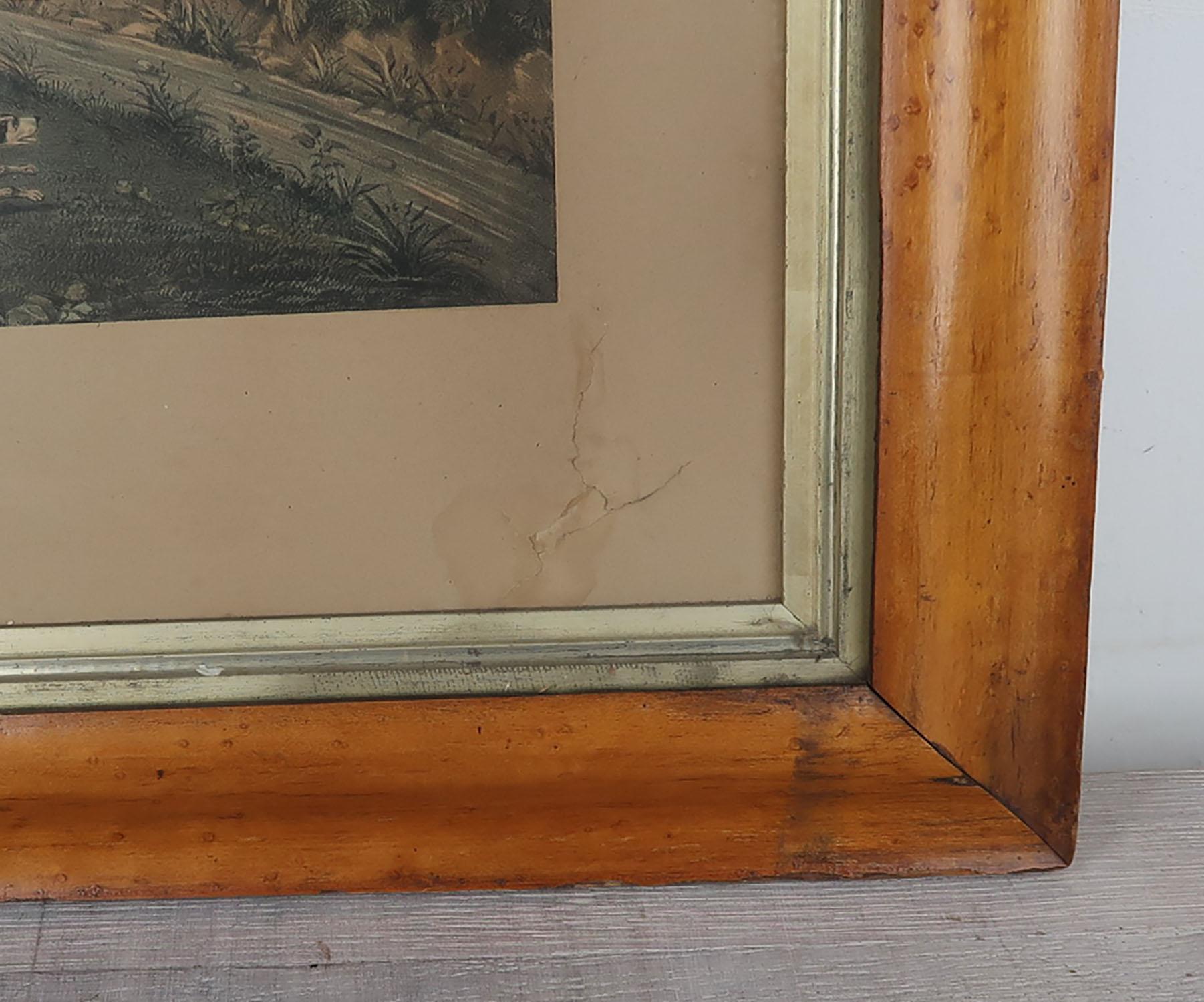 Set of 4 Large Scale Antique Sporting Prints In Birds-Eye Maple Frames. C.1850 For Sale 3