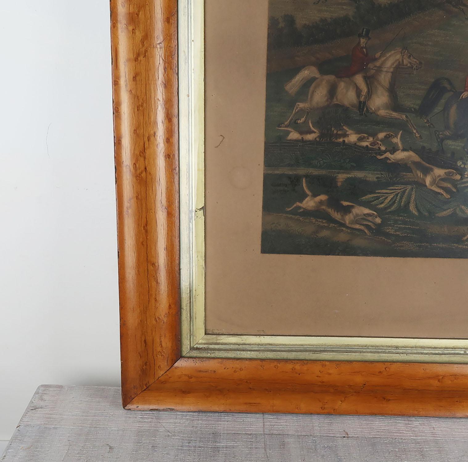 Mid-19th Century Set of 4 Large Scale Antique Sporting Prints In Birds-Eye Maple Frames. C.1850 For Sale