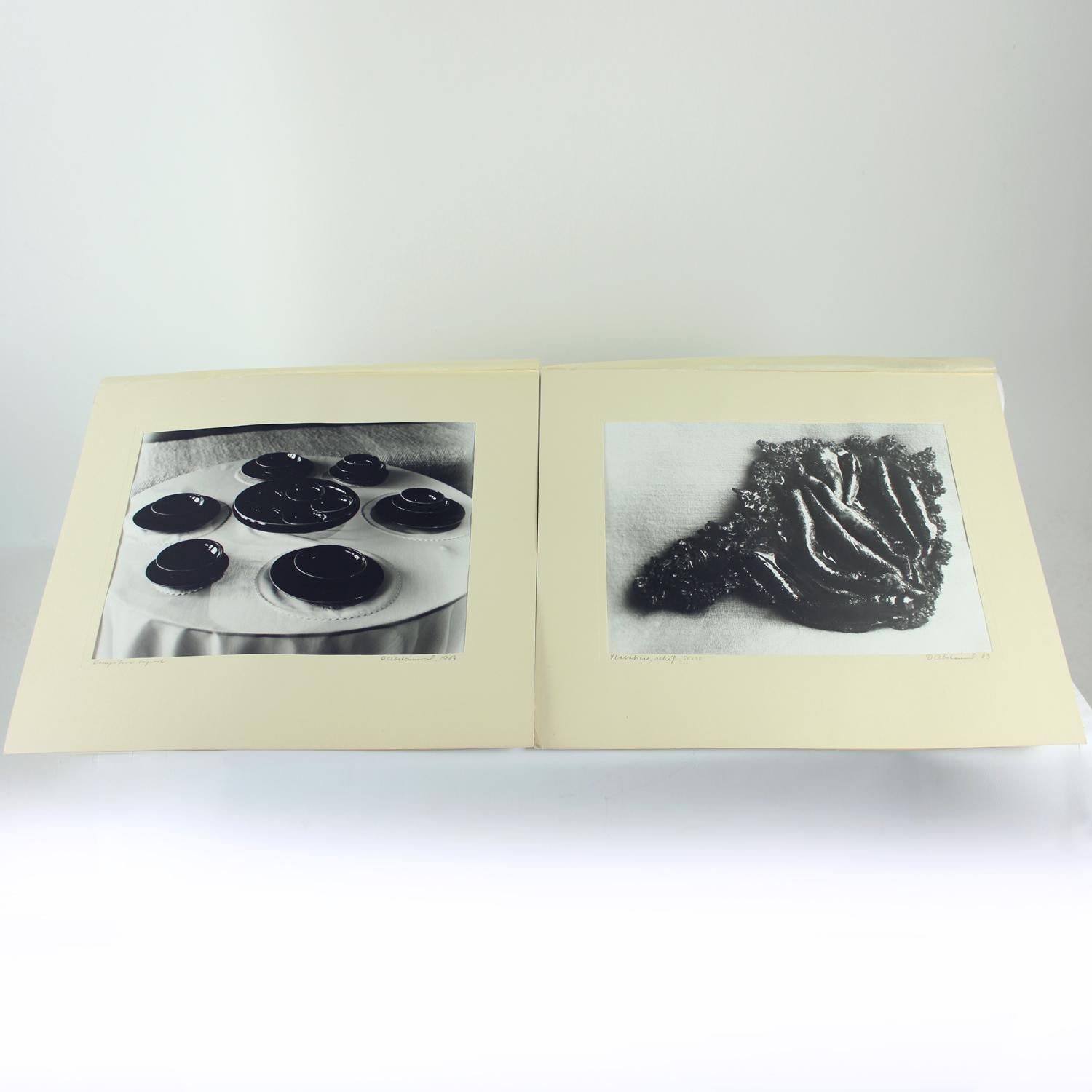 Ensemble de 4 grands clichés d'œuvres d'art en céramique de Ditta Abrhamova, Cz en vente 4