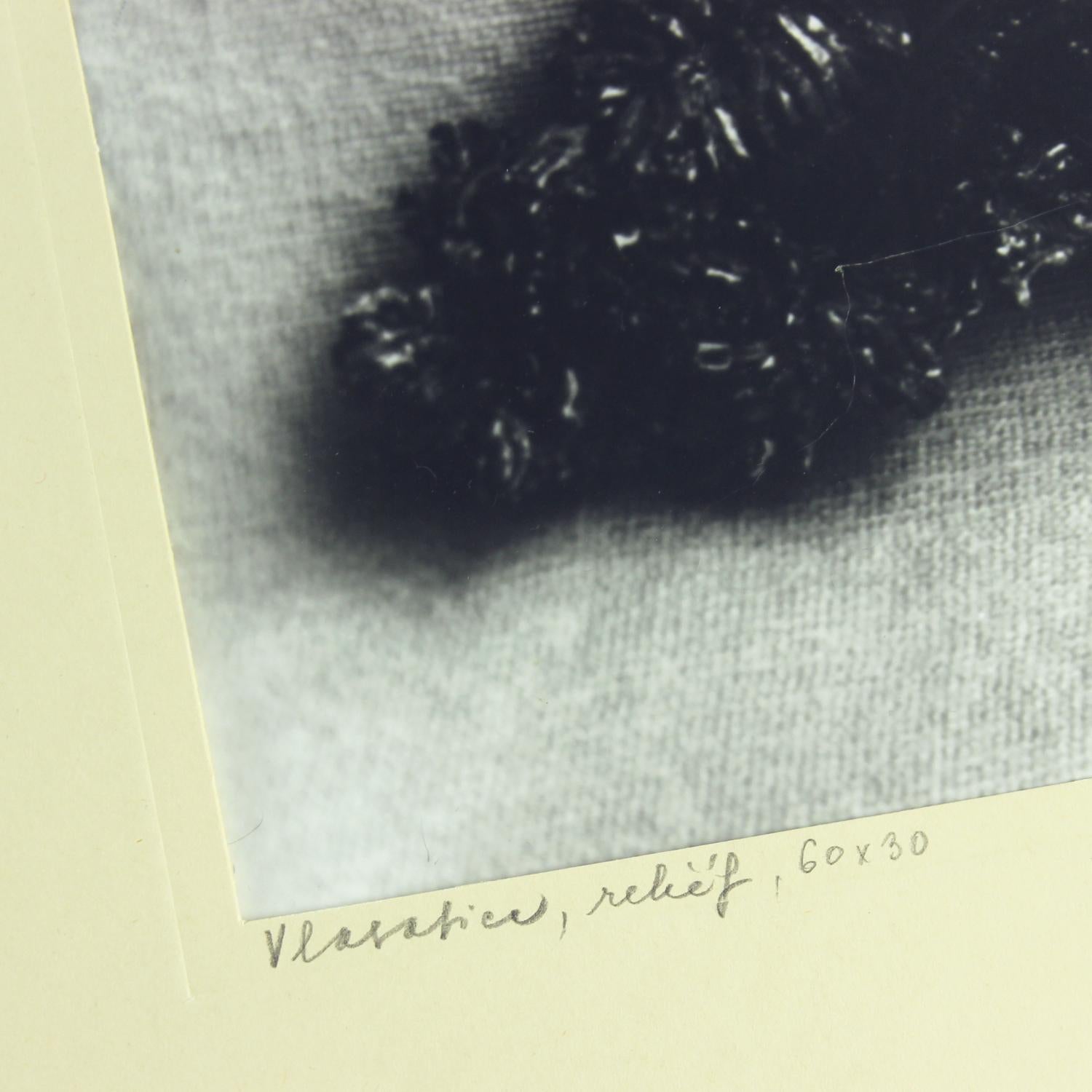 Ensemble de 4 grands clichés d'œuvres d'art en céramique de Ditta Abrhamova, Cz en vente 6