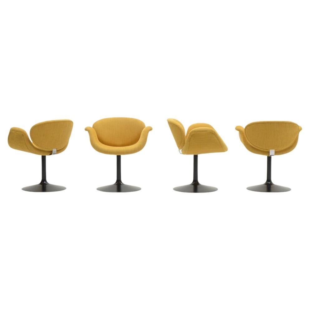 Set of 4 little Tulip chairs by Pierre Paulin for Artifort, 1960s Netherlands.