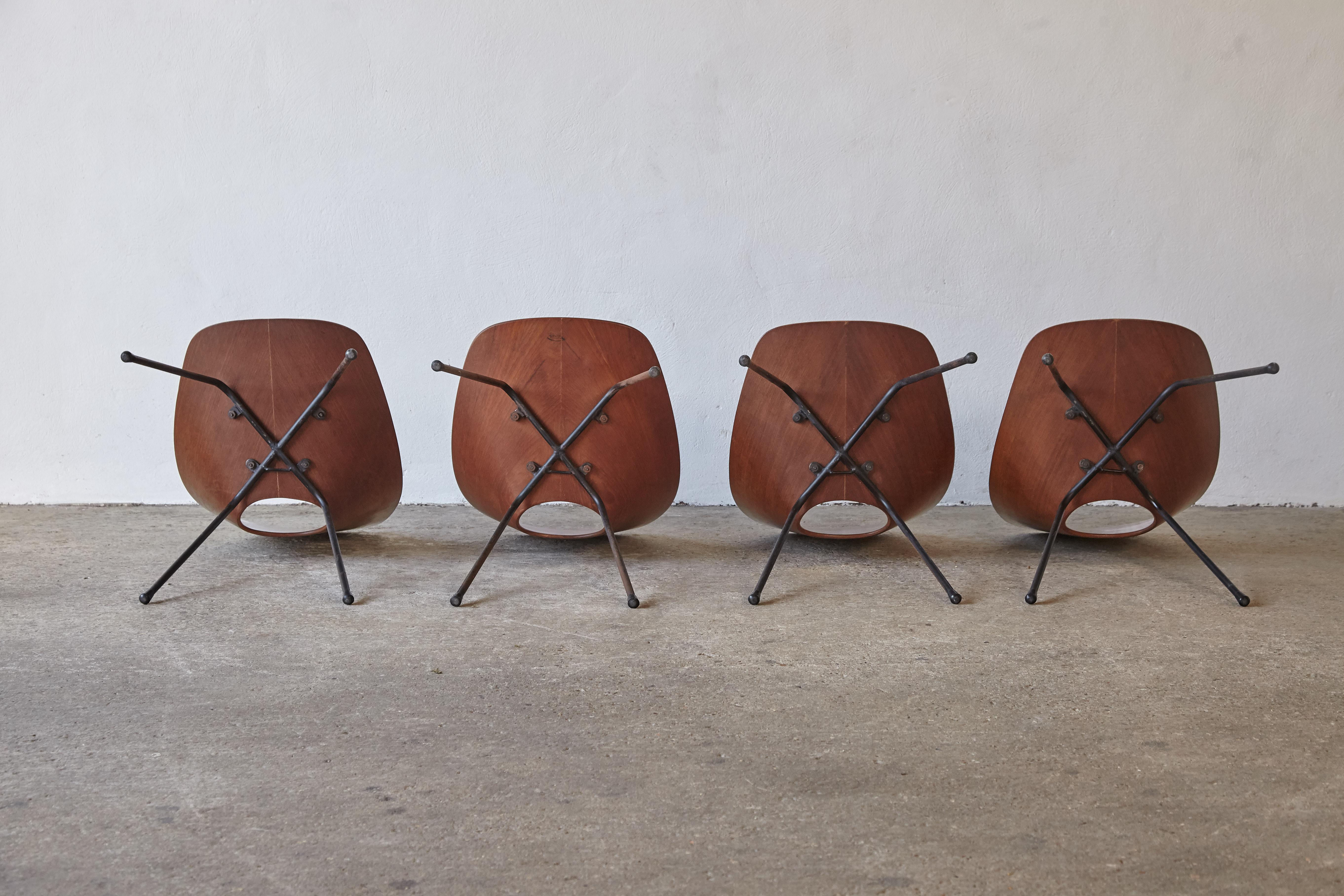 Ensemble de 4 chaises Medea par Vittorio Nobili, Fratelli Tagliabue, Italie, années 1950 en vente 5