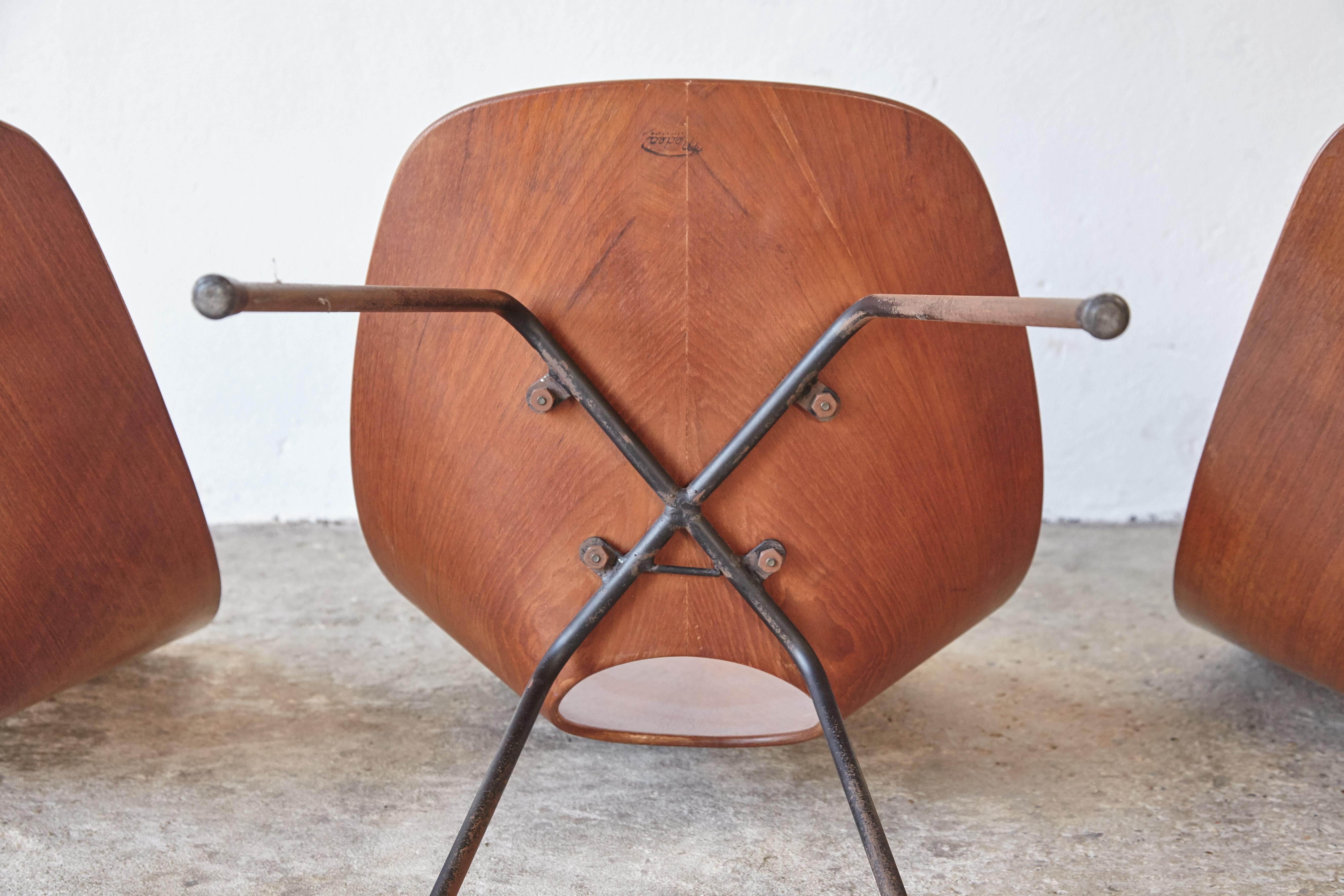 Ensemble de 4 chaises Medea par Vittorio Nobili, Fratelli Tagliabue, Italie, années 1950 en vente 7