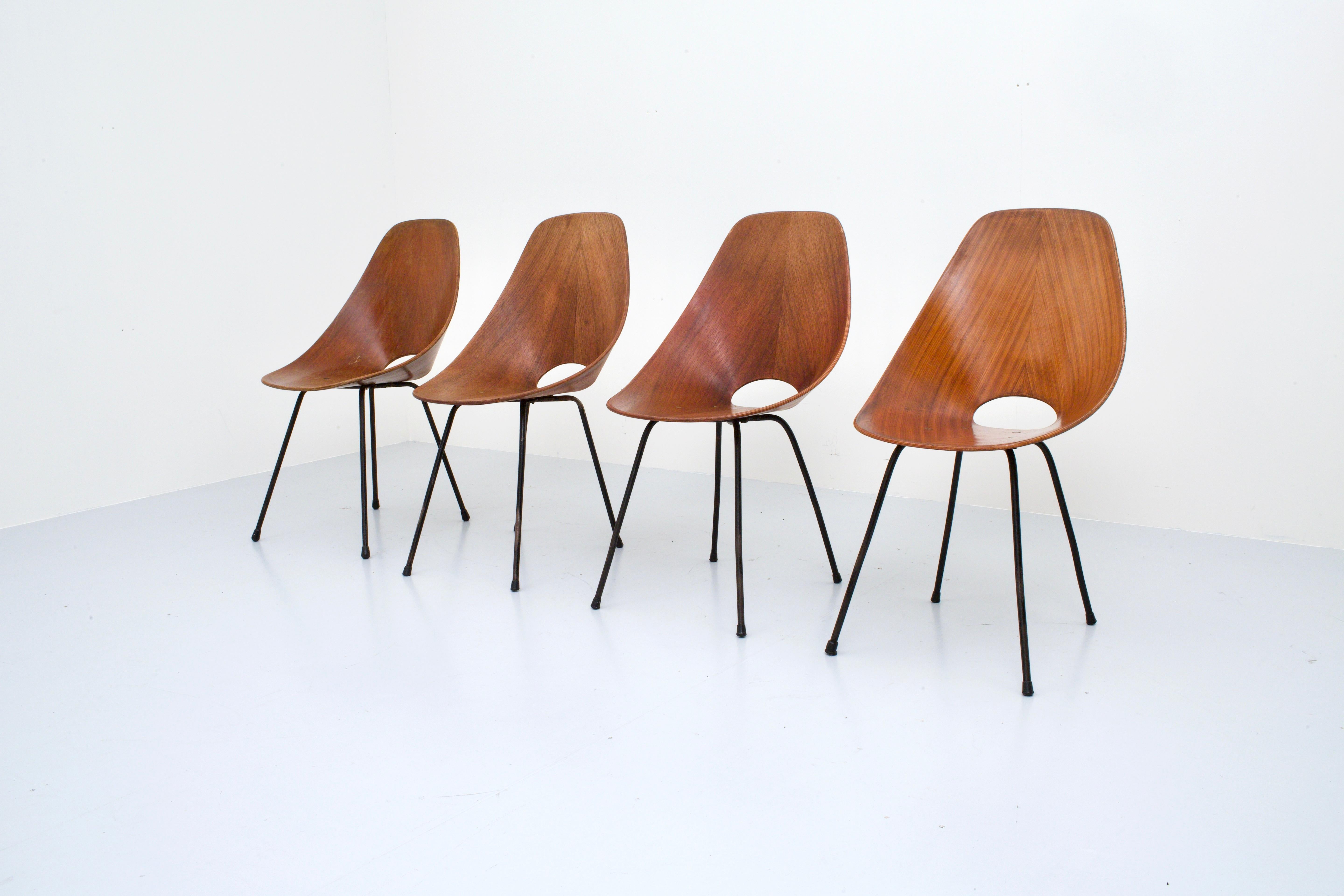 Italian Set of 4 Medea Dining Chairs by Vitorio Nobili for Fratelli Tagliabue, 1955 For Sale