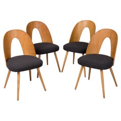 Ensemble de 4 chaises de salle à manger du milieu du siècle par A. Šuman, retapissées en bouclier noir