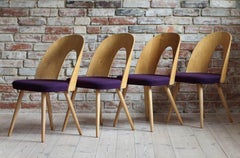 Set of 4 Mid Century Dining Chairs by A.Šuman, Customizable Upholstery Available