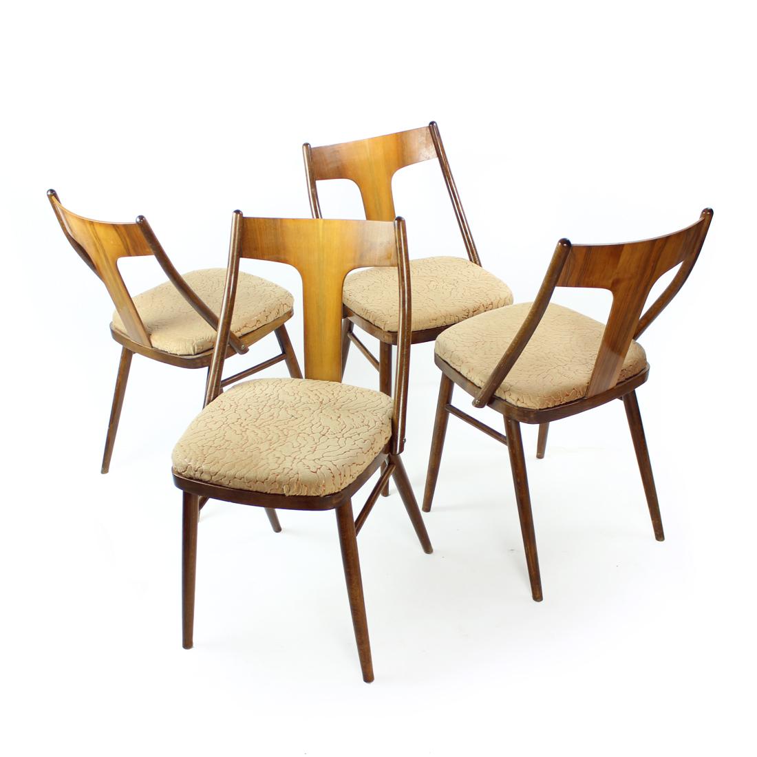 Ensemble de 4 chaises de salle à manger du milieu du siècle, Tchécoslovaquie, années 1960 en vente 4