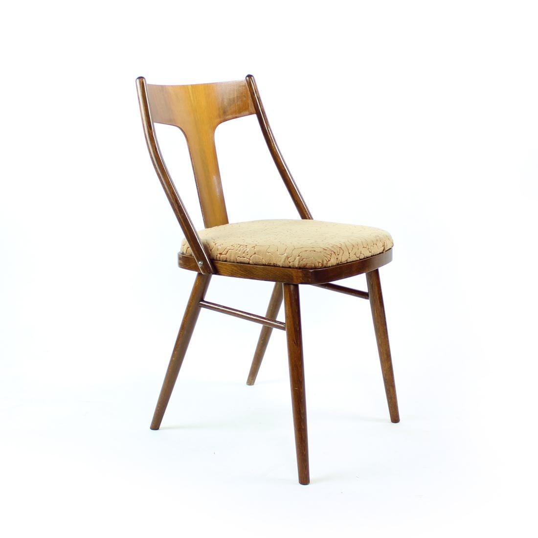 Schöner Satz eleganter Esszimmerstühle aus der Mitte des Jahrhunderts. Produziert in den 1960er Jahren in der Tschechoslowakei. Die Stühle haben eine starke Eichenholzkonstruktion mit einer eleganten Rückenlehne in T-Form mit Walnussfurnier.