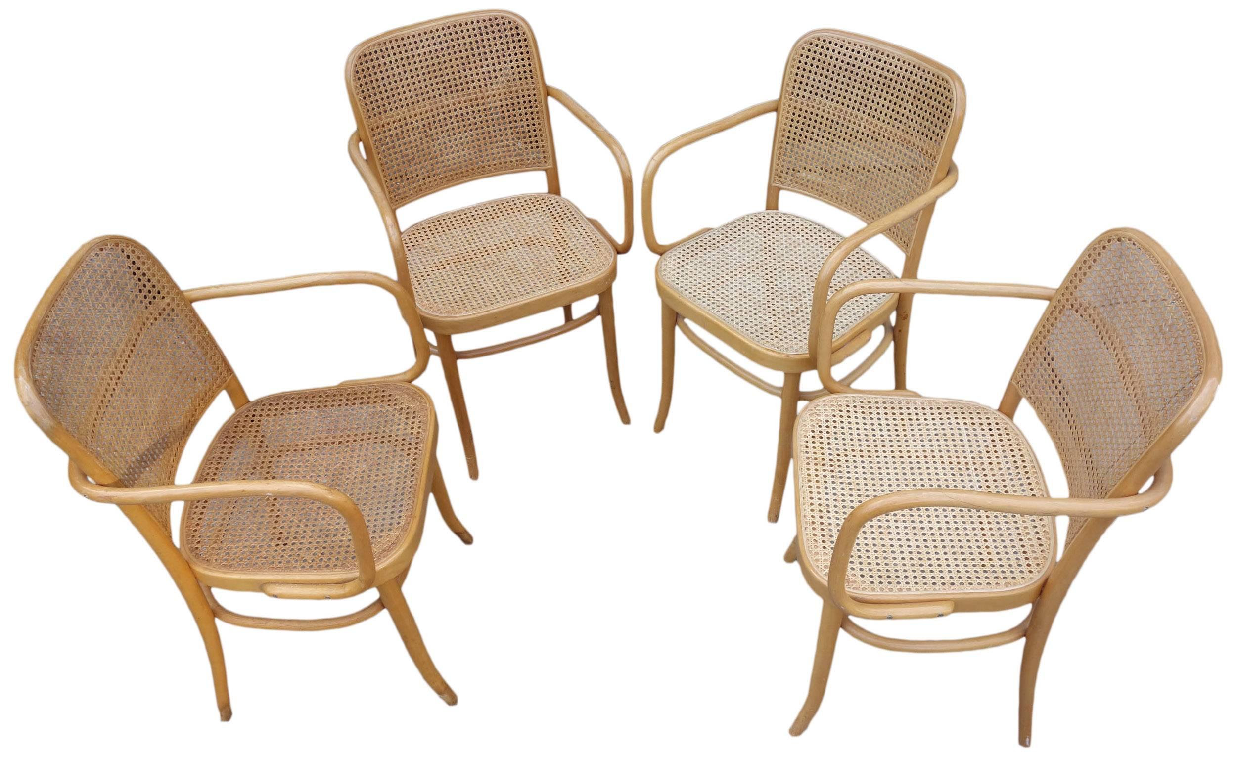 Czech Set of Four Midcentury Josef Hoffmann and Josef Frank 811 Chairs