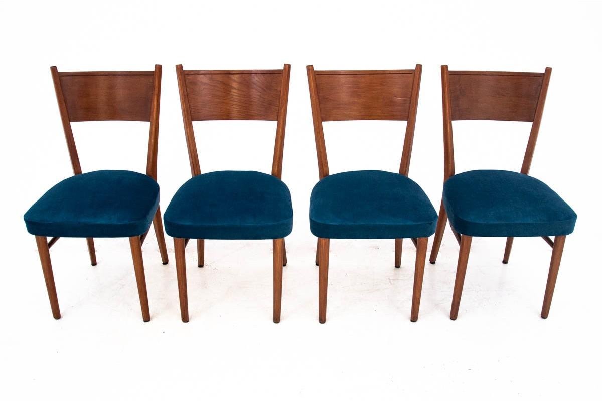 Chairs from the mid-20th century. The furniture is in very good condition, after professional renovation, the seats are upholstered in a new blue fabric.

Dimensions: height 88 cm / height seat. 43 cm. width 46 cm / depth 55 cm.