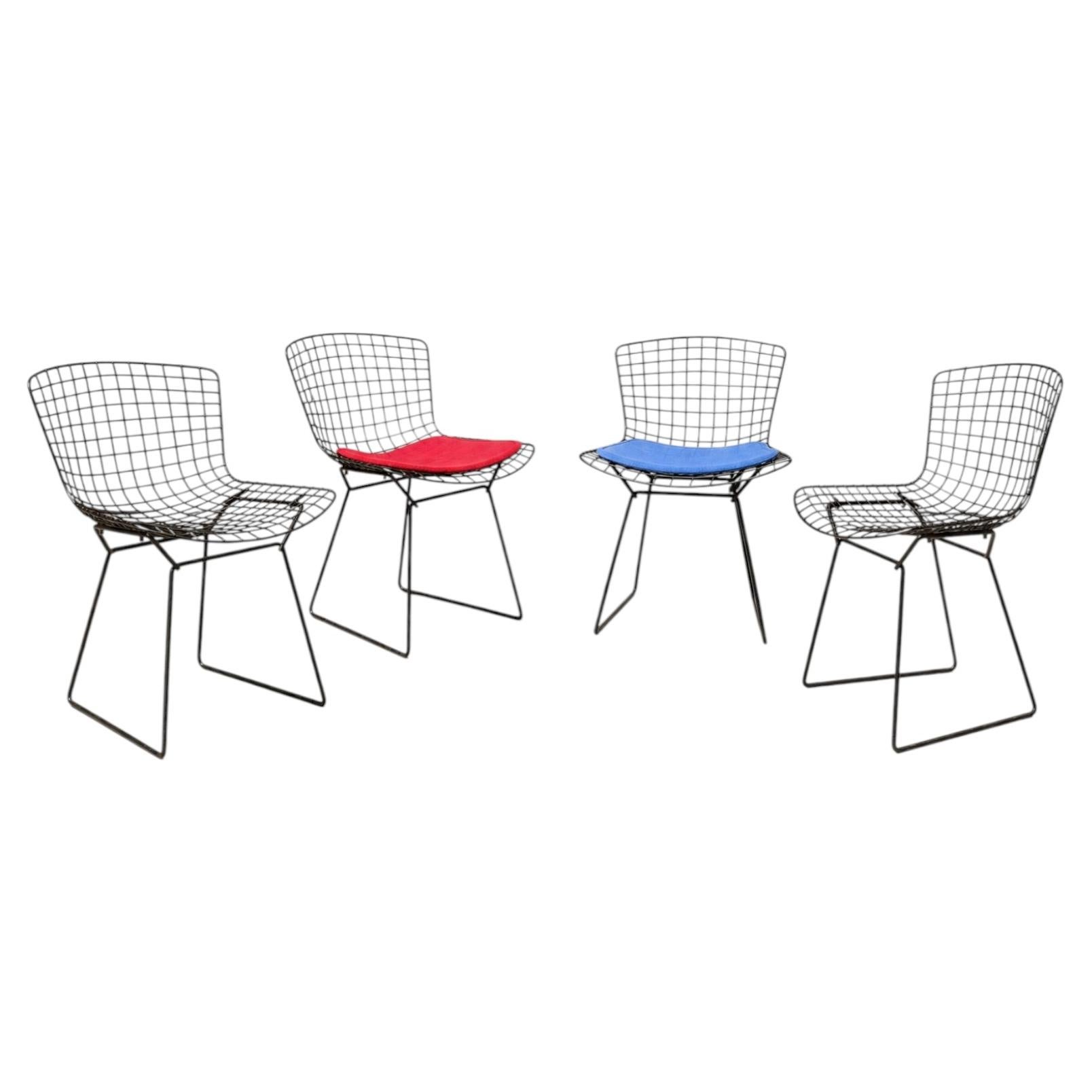 Set di 4 sedie "Wire" di Harry Bertoia in stile Mid-Century Modern per Knoll