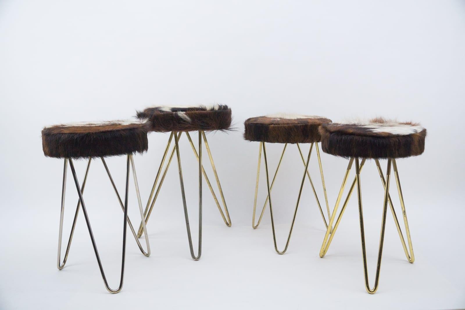 The stools were new, covered with original old Brazilian cowhide.

The frames have patina. In one the frame is rather silver color.

The seat height is 44cm and 46cm.