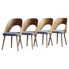 Conjunto de 4 sillas de comedor de mediados de siglo de A. Šuman, Drevopodnik ONV Pisek