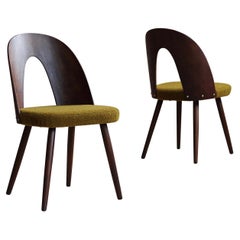 Set of 4 Midcentury Dining Chairs by A. Šuman in Honey-Olive Boucle by Kvadrat