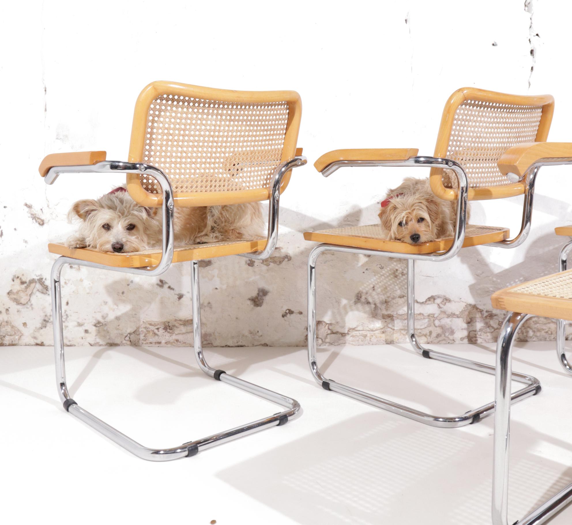 Set of 4 Midcentury Marcel Breuer S64 Cesca Chairs, Fasem Italy 2