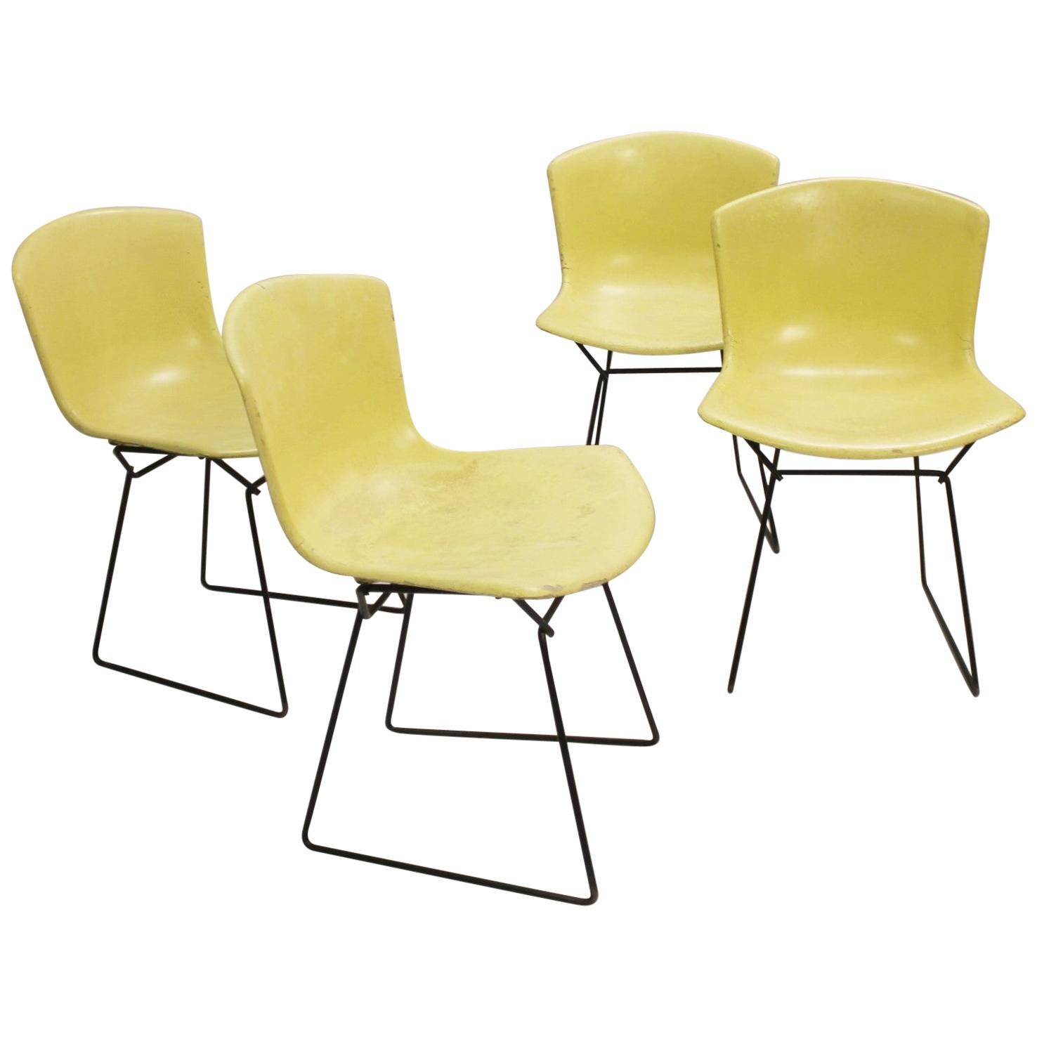 Set of 4 Molded Shell Side Chairs by Harry Bertoia, Fiberglass, Knoll Edition