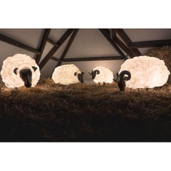 Set di 4 sculture luminose Molly di Atelier Aute Cuisine