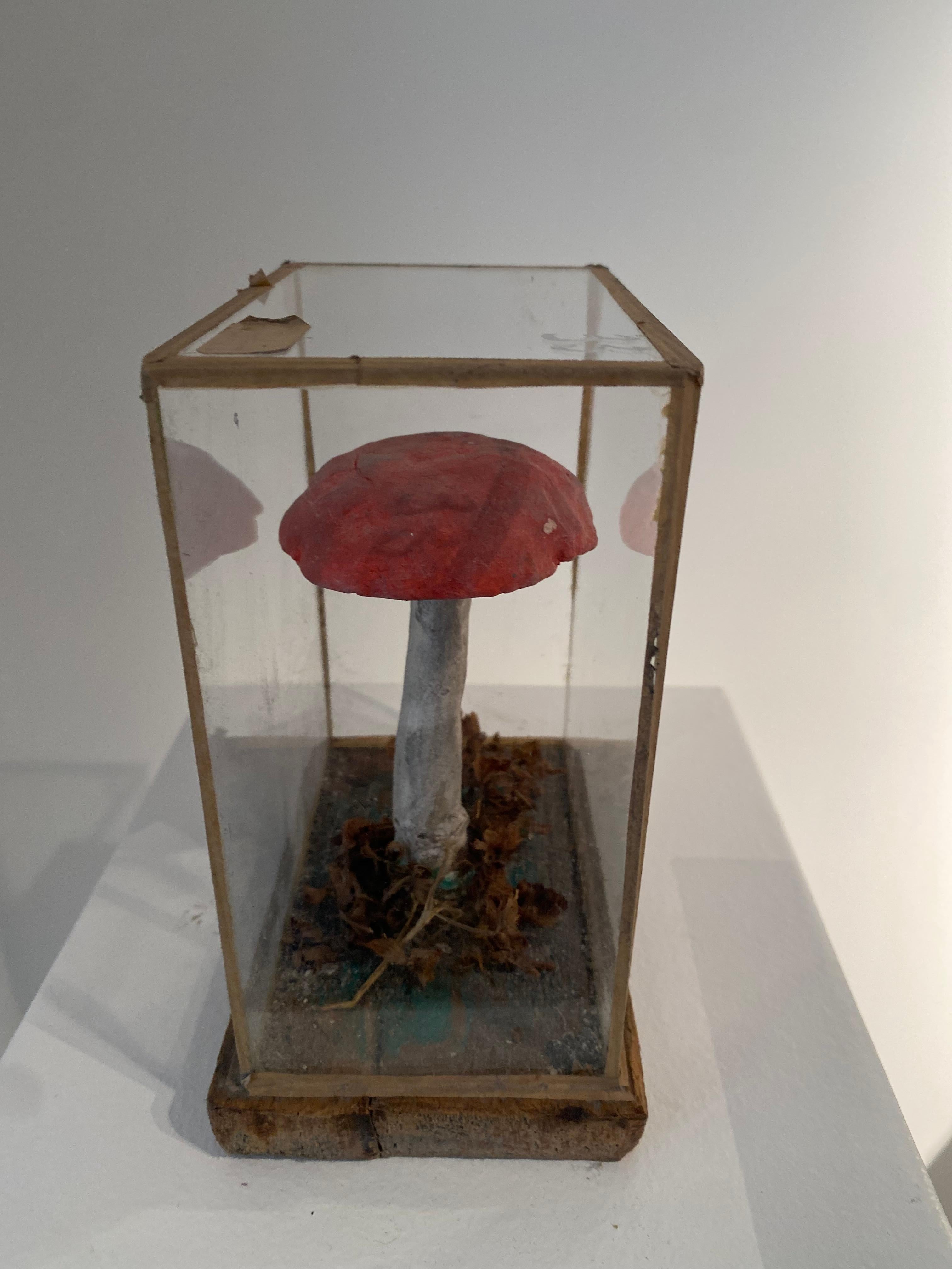 Set of 4 Mushroom Models For Sale 5