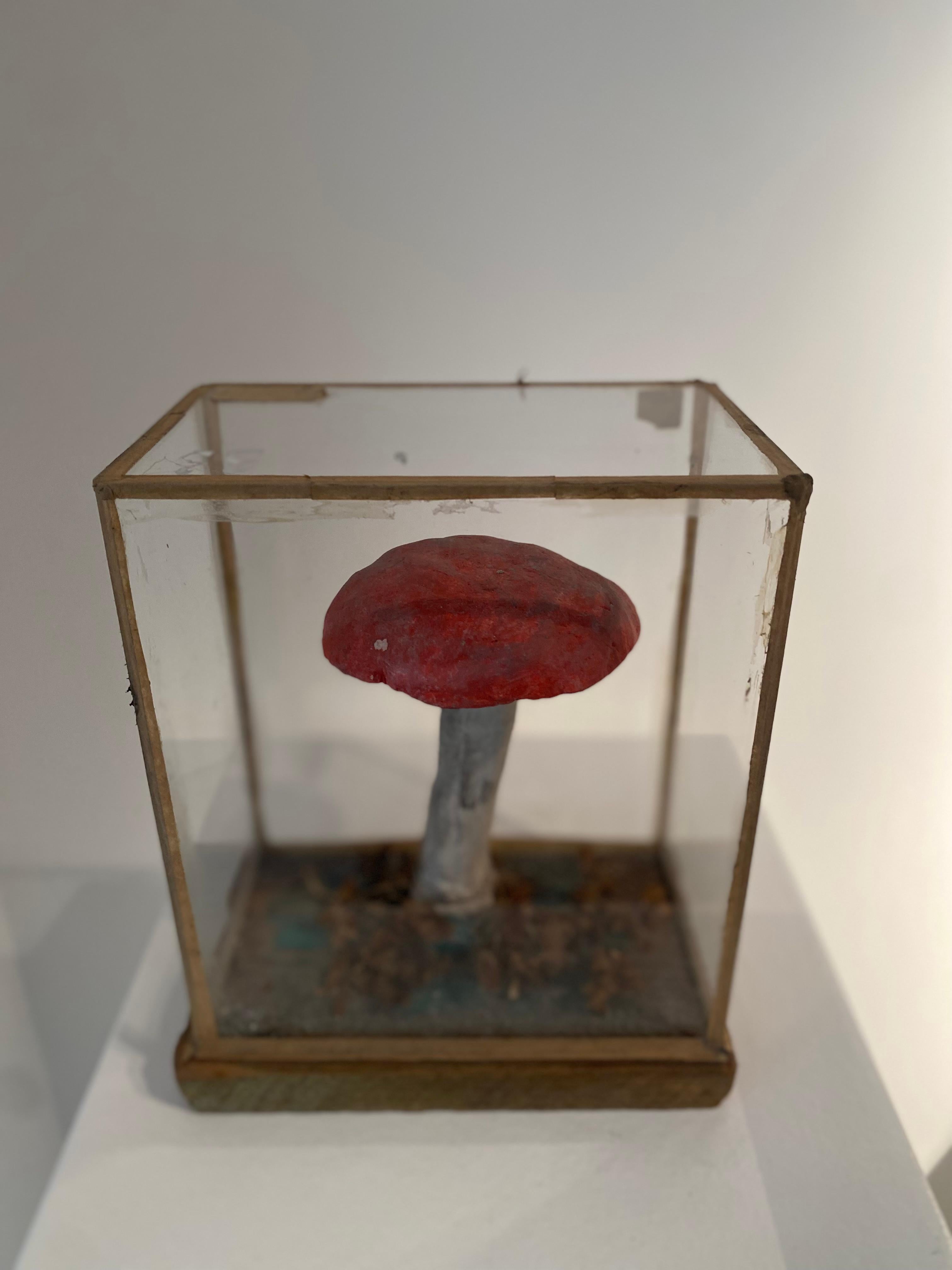 Set of 4 Mushroom Models For Sale 6