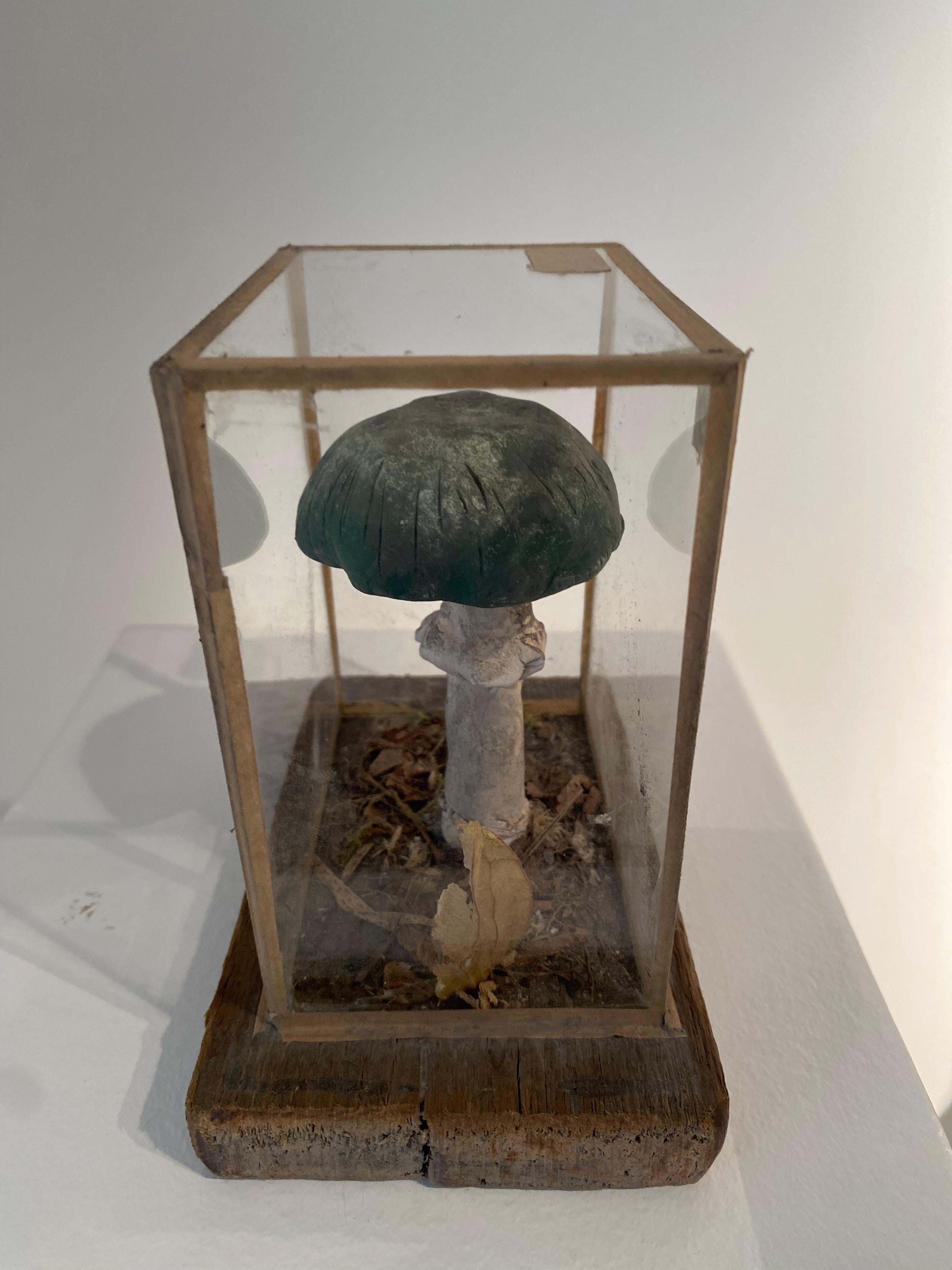 Set of 4 Mushroom Models For Sale 8