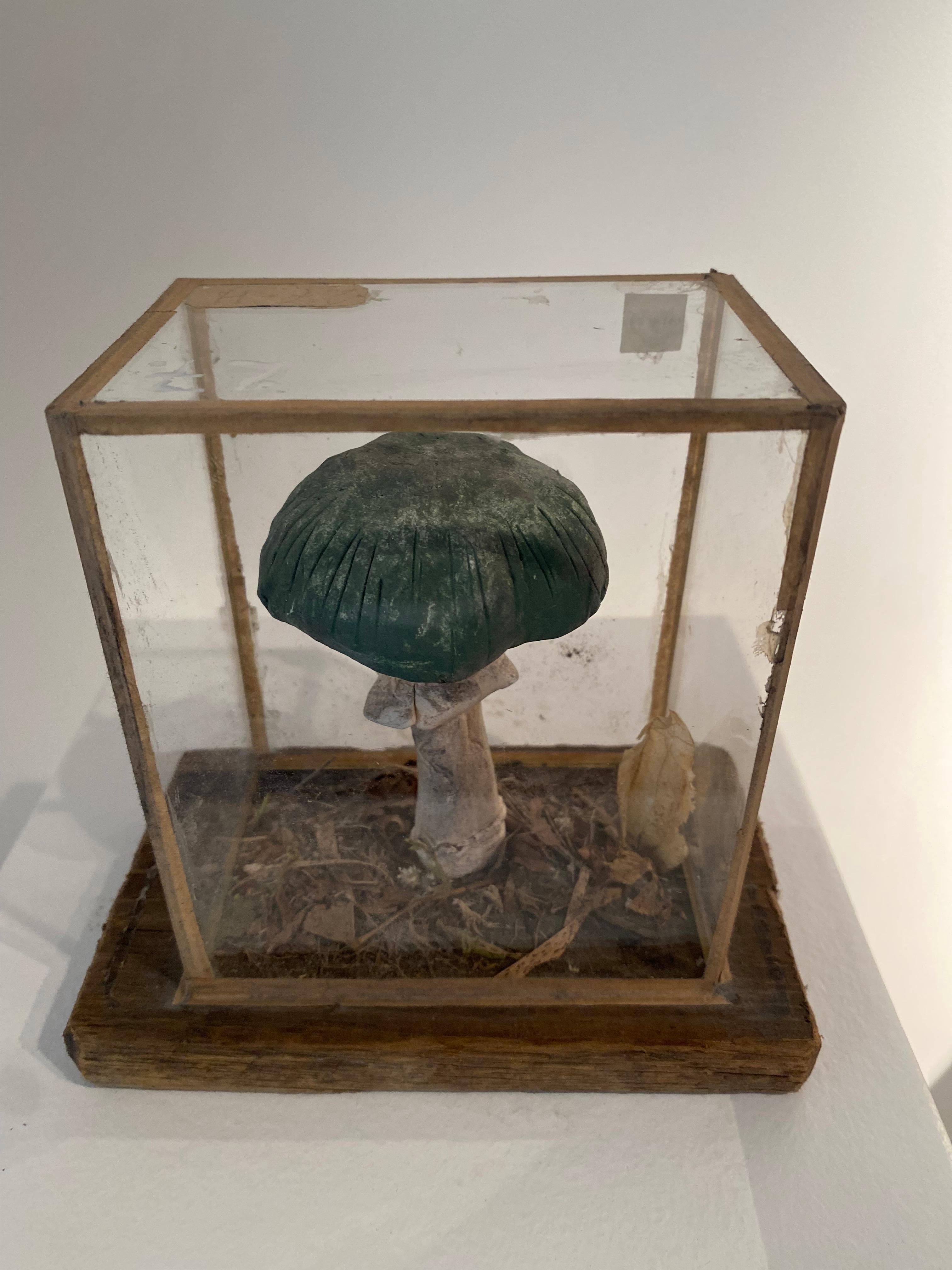 Set of 4 Mushroom Models For Sale 9