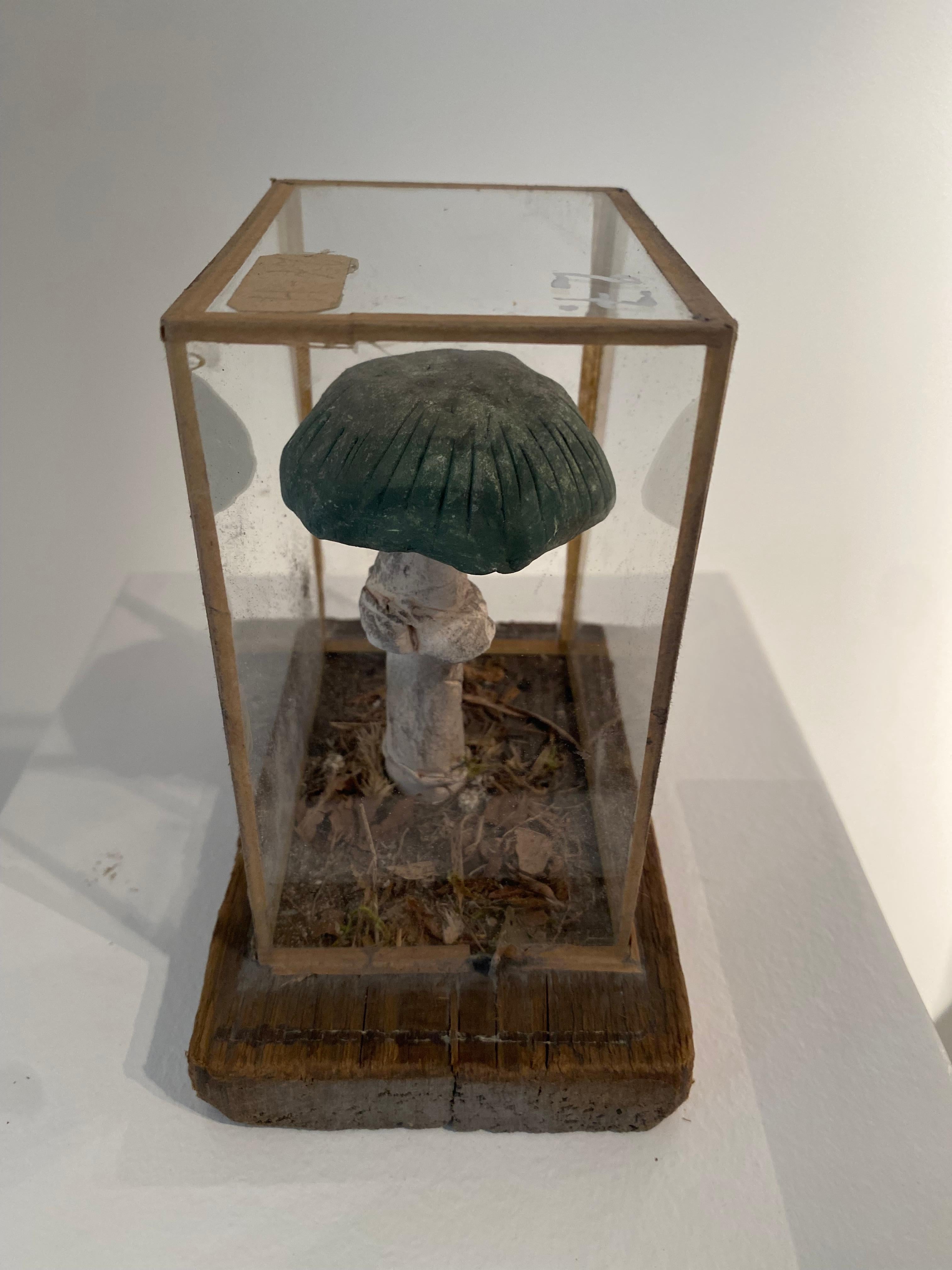 Set of 4 Mushroom Models For Sale 10