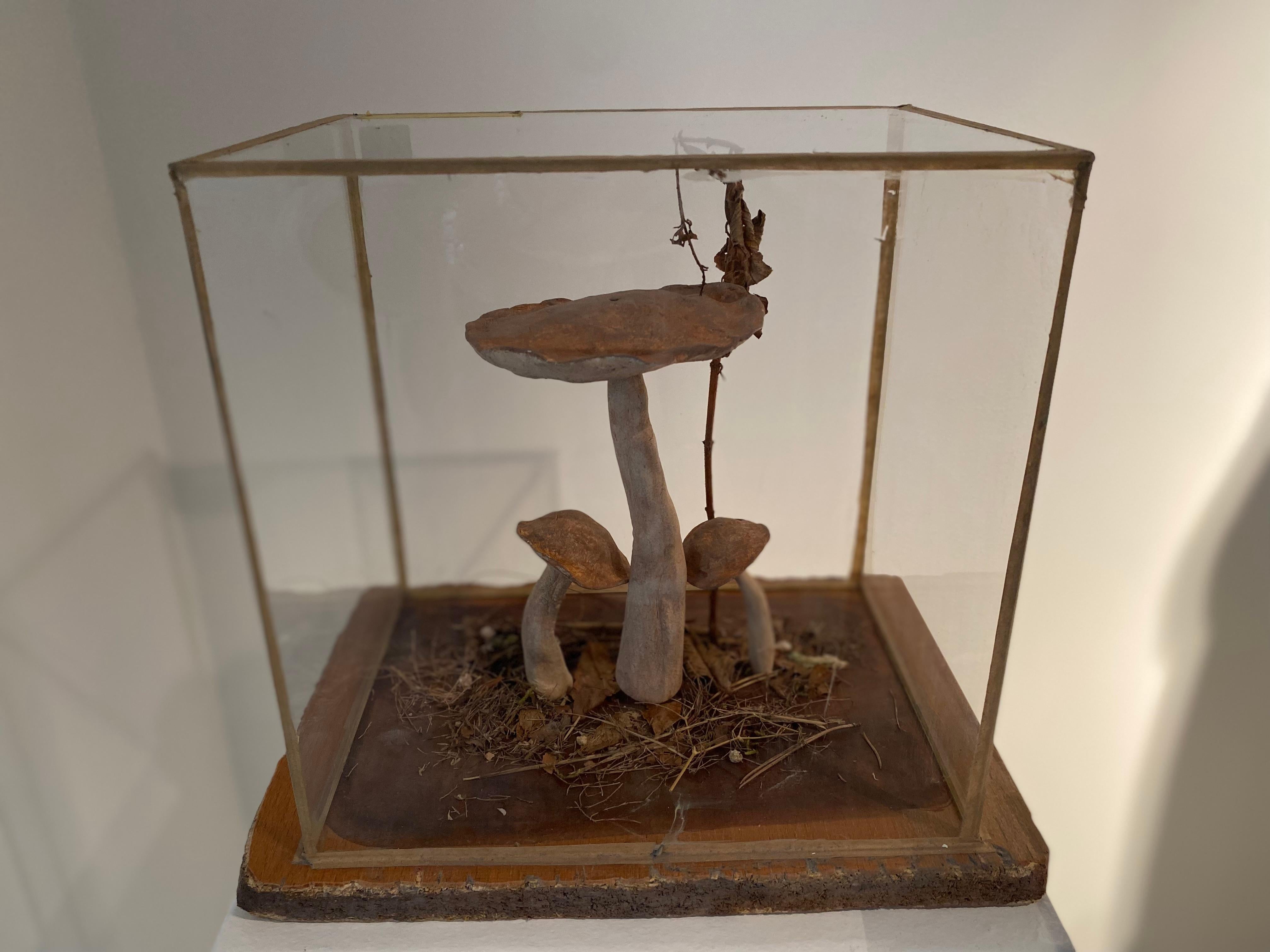 Set of 4 Mushroom Models For Sale 11