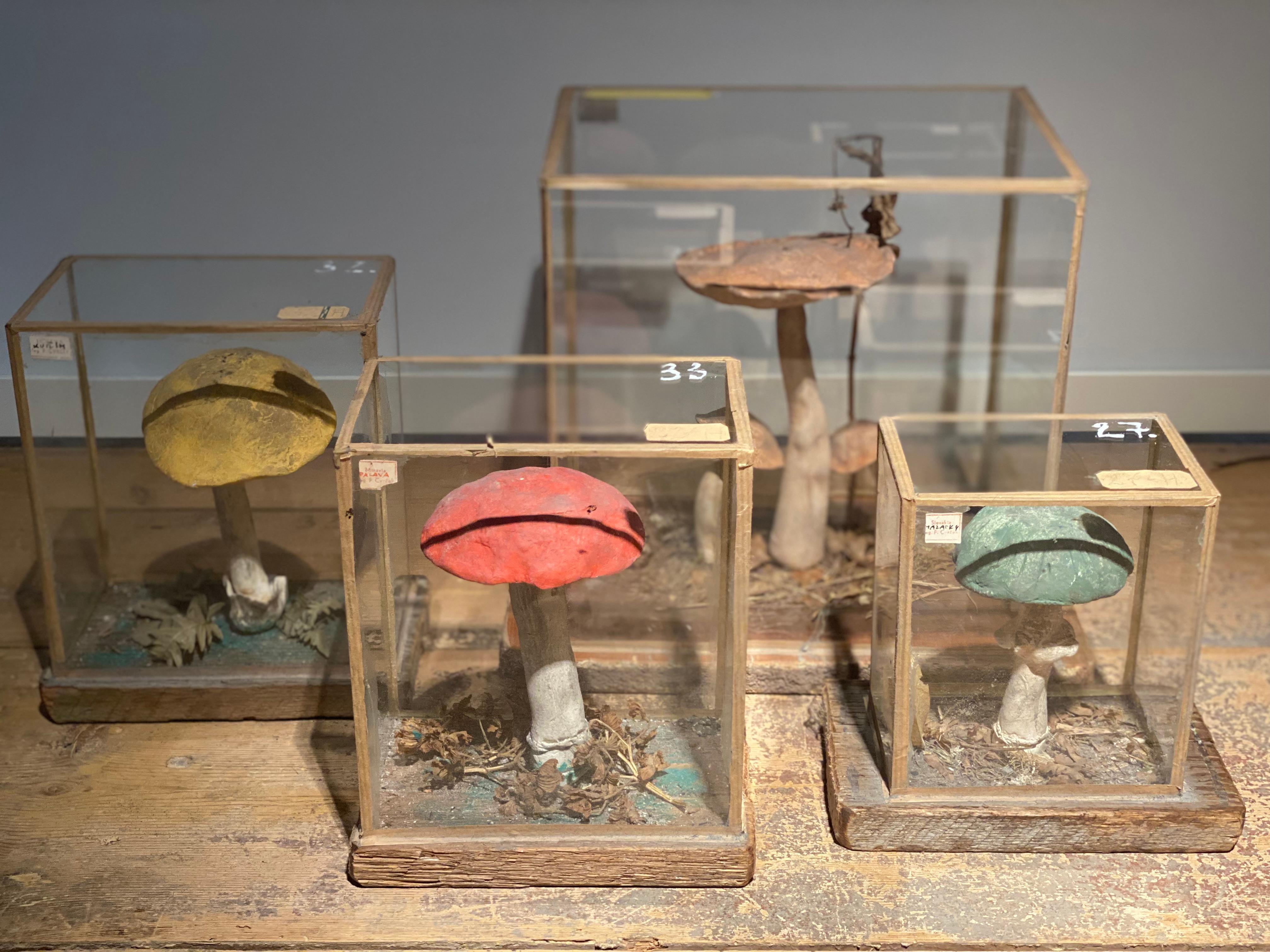 Patinated Set of 4 Mushroom Models For Sale