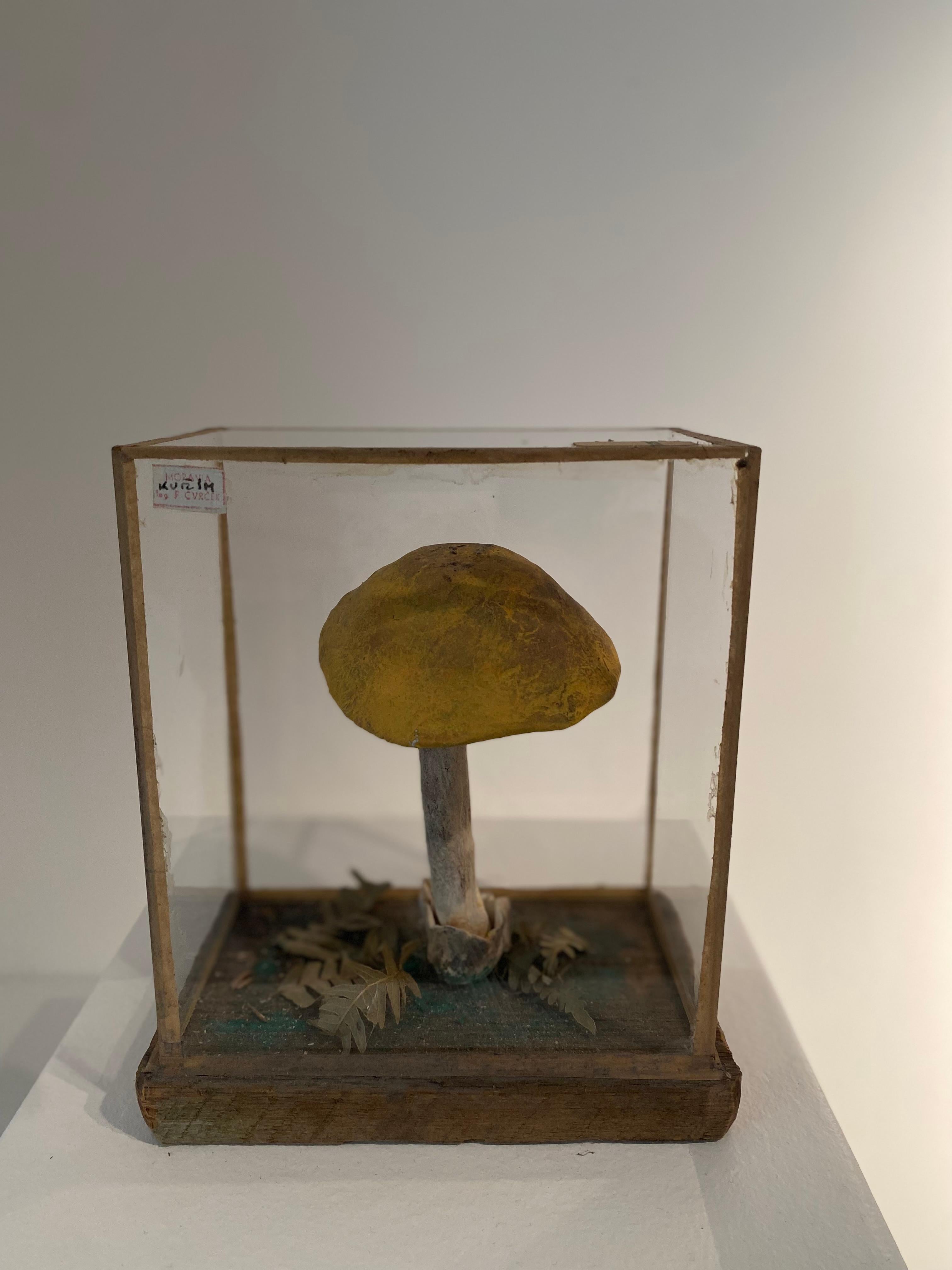 Late 20th Century Set of 4 Mushroom Models For Sale