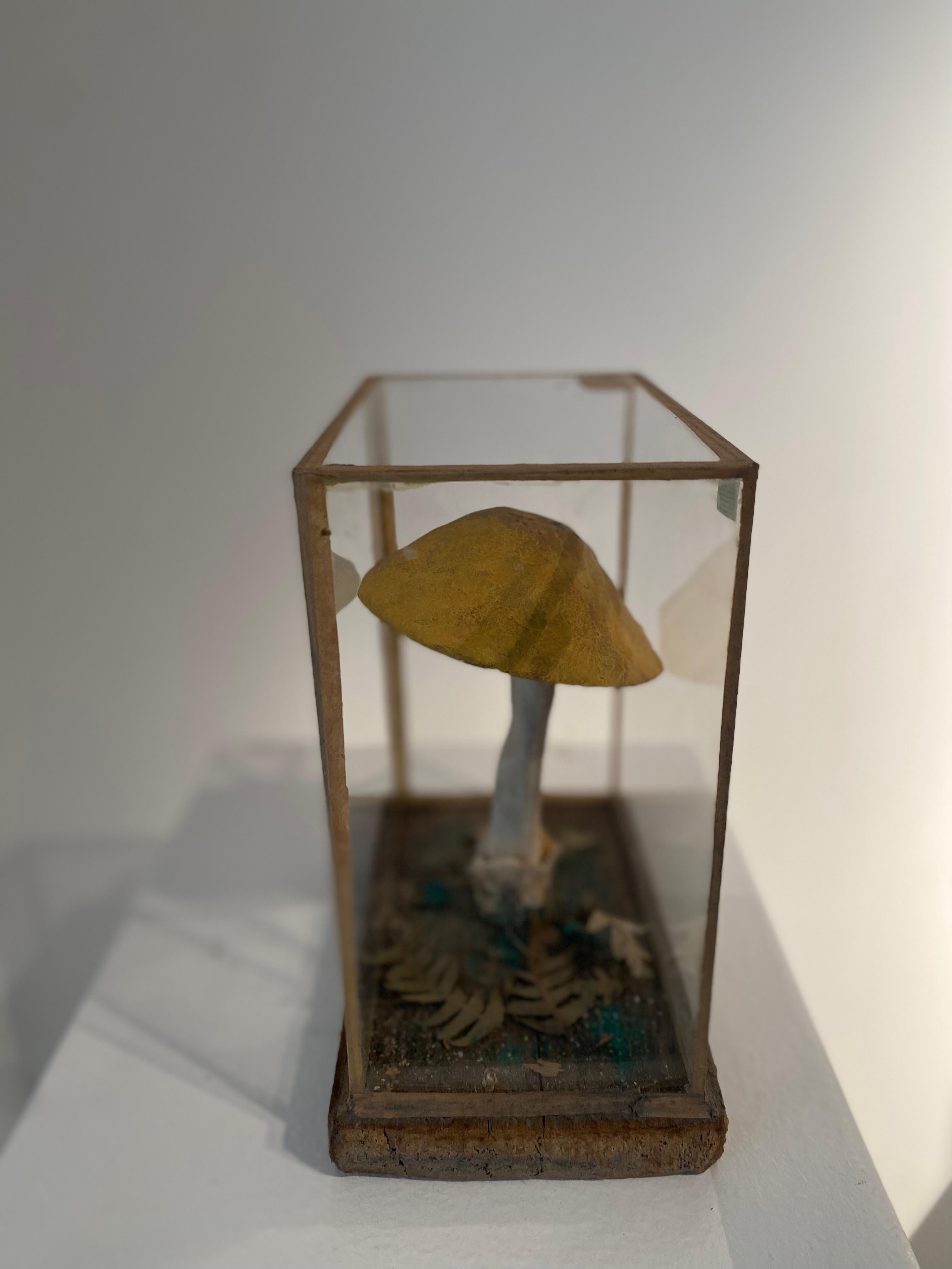 Softwood Set of 4 Mushroom Models For Sale