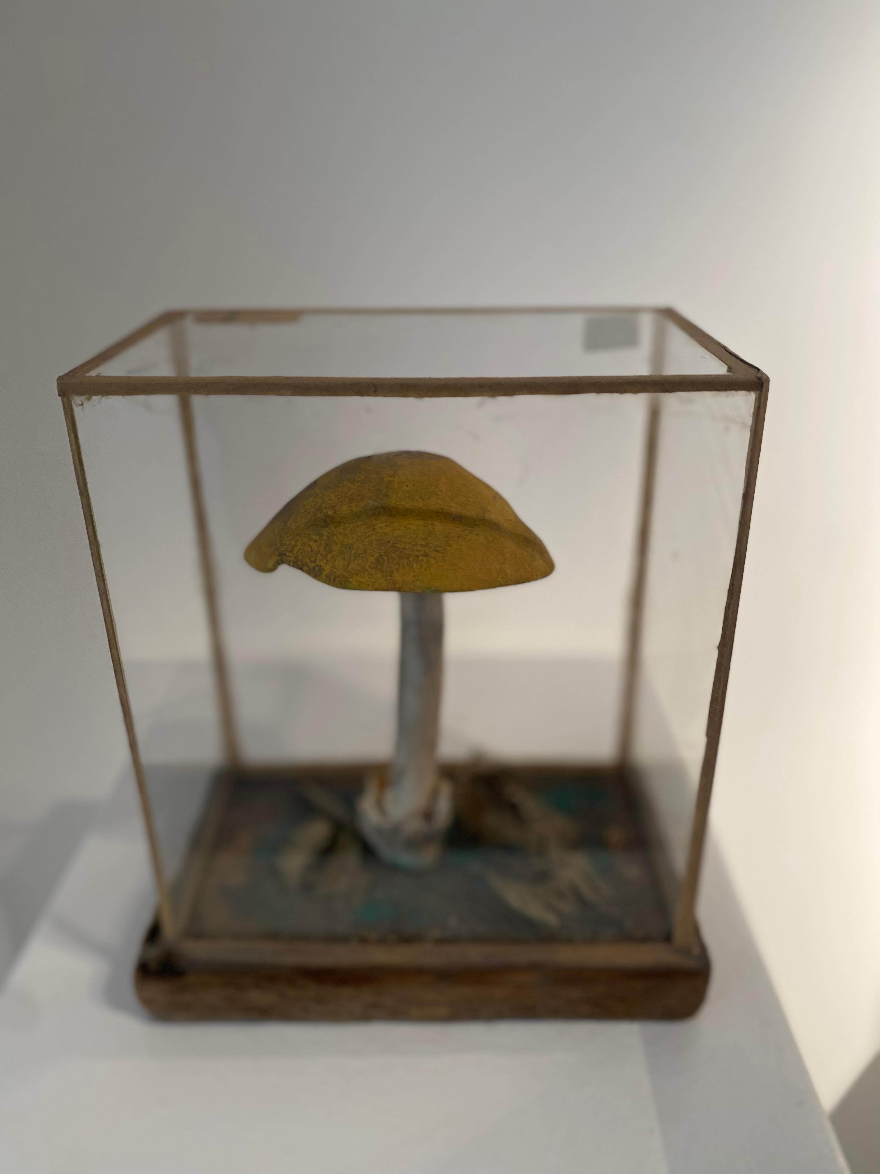 Set of 4 Mushroom Models For Sale 1