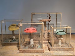 Ensemble de 4 modèles champignons