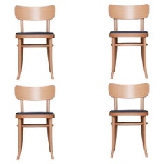 Set Of 4 MZO Chairs by Mazo Design