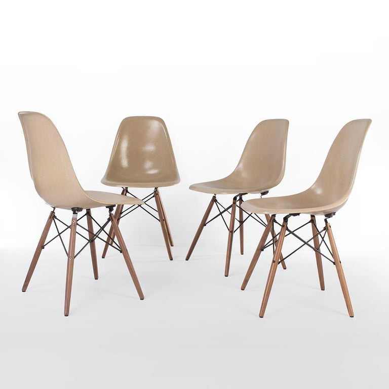 This is a set of used, original Greige Herman Miller Eames DSW dining chairs, attached to a brand-new walnut wood dowel base. Due to its vintage qualities, there are some scratches on the surface, with a few white marks which are barely visible.