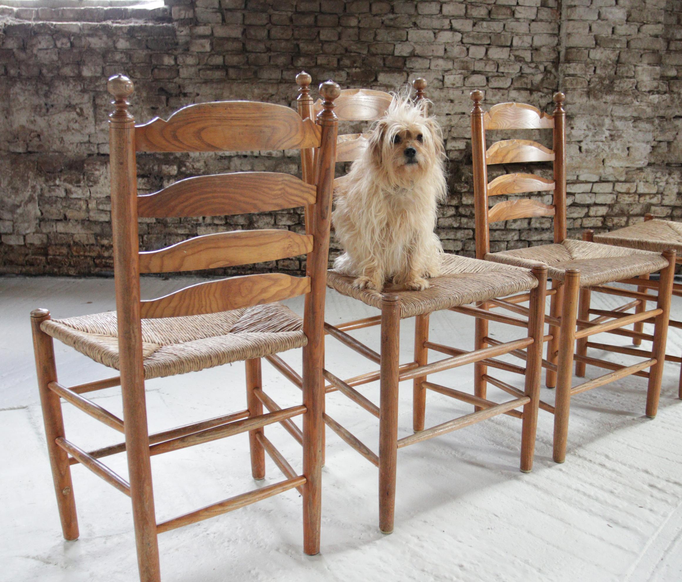 Set of 4 Old Rural Dutch Ladderback chairs 1960's For Sale 4