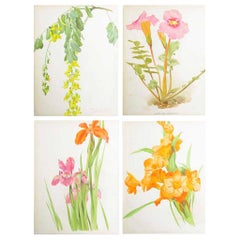 Set of 4 Original Antique Botanical Prints, circa 1870