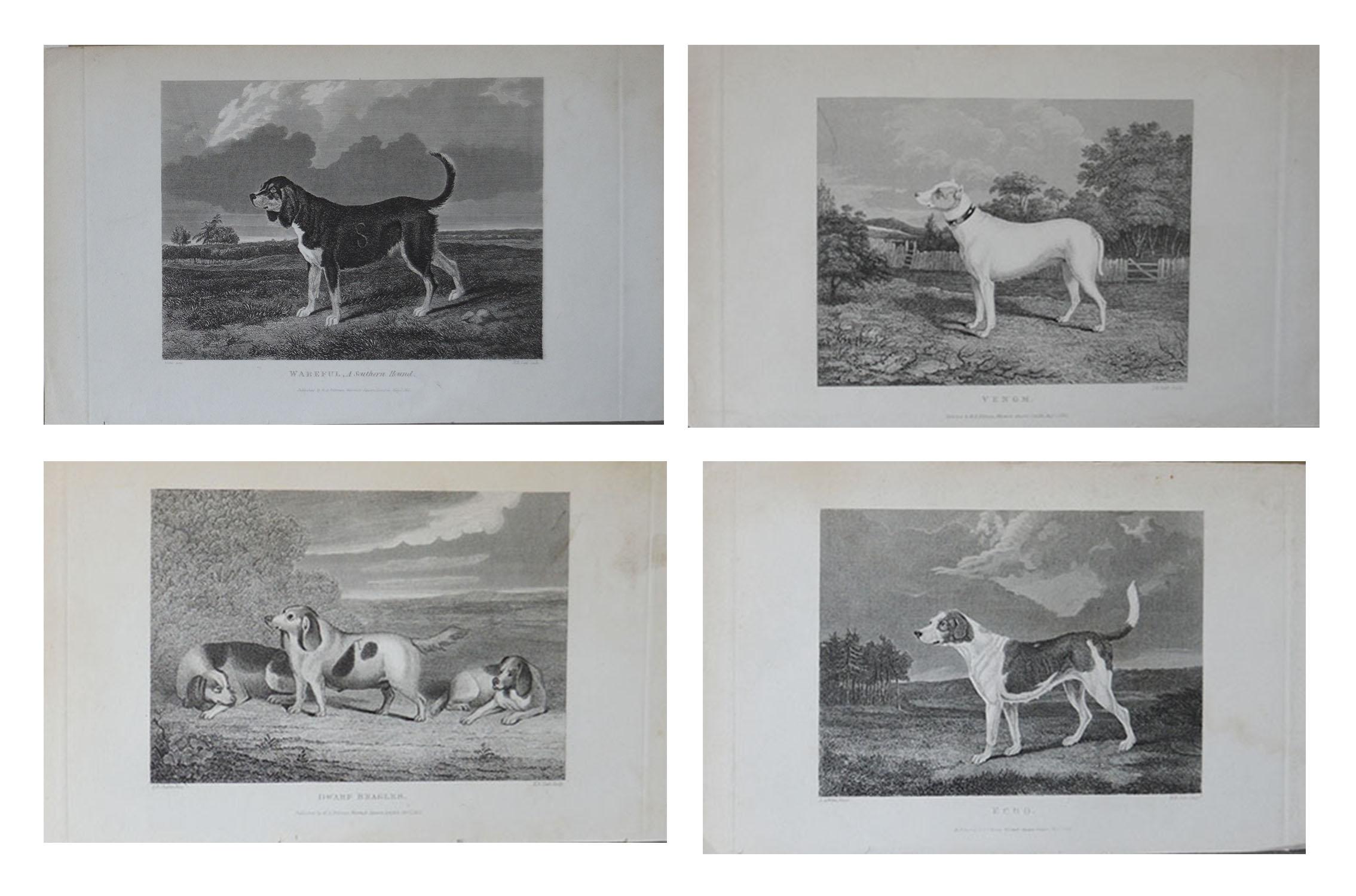Great set of 4 sporting dog prints

Steel engravings after the original drawings by E.A.Willis and H.B. Chalon

Published by M.A. Pittman, London 1831
 
Unframed

The measurement give below is for one print.
  
