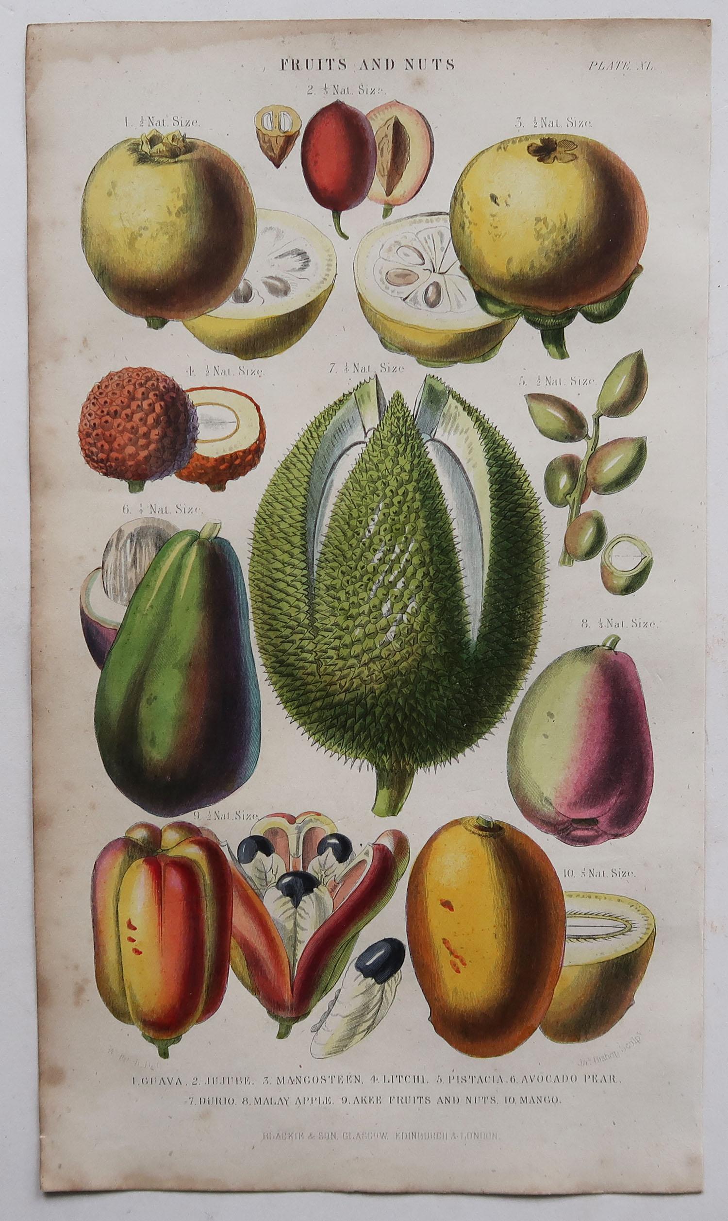 Scottish Set of 4 Original Antique Prints of Fruit and Palm Trees After Walter Hood Fitch