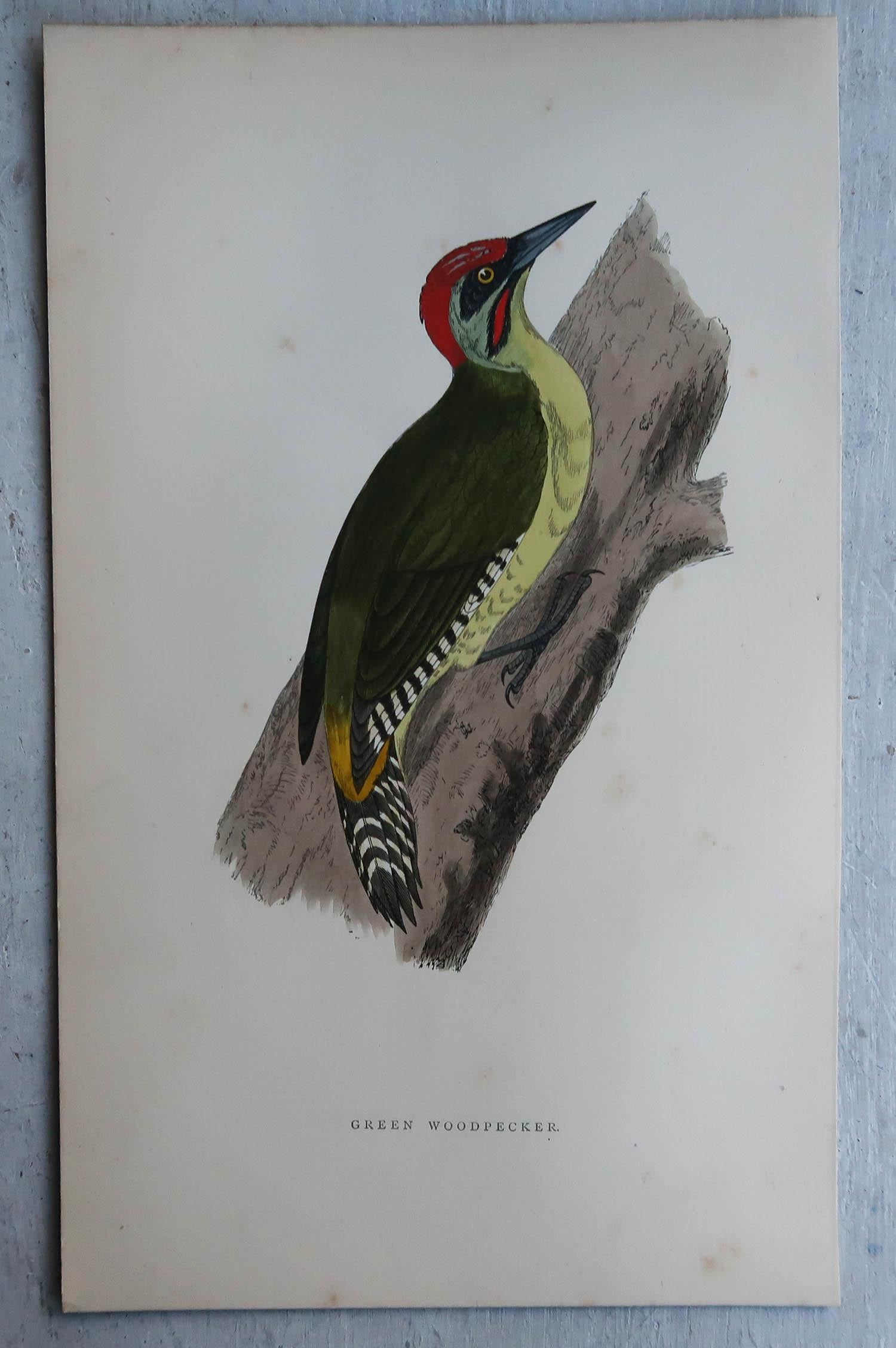 Merveilleux ensemble de 4 tirages.

Lithographies d'après les dessins originaux d'Alexander Francis Lydon

Couleur originale

Publié par John C. Nimmo, vers 1880.

Non encadré

Livraison gratuite.




