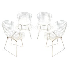 Ensemble de 4 chaises de jardin originales Harry Bertoia