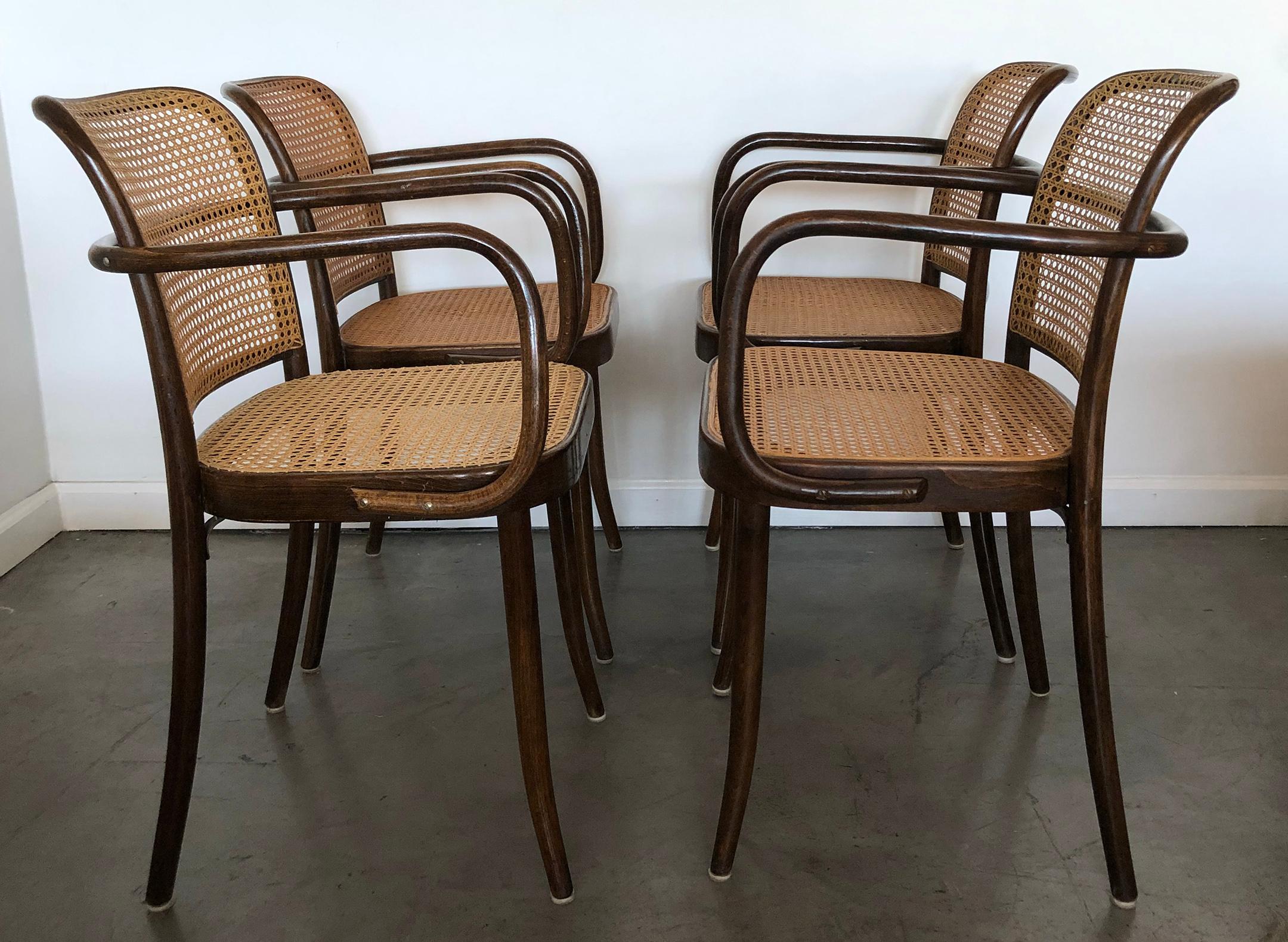 An absolutely stunning set of 4 'Prague' arm chairs by Bauhaus designer Josef Hoffmann, manufactured in Czechoslovakia, circa 1960s, and imported by Stendig, with cane seats and backs against curved bentwood frames. Markings include [Made in