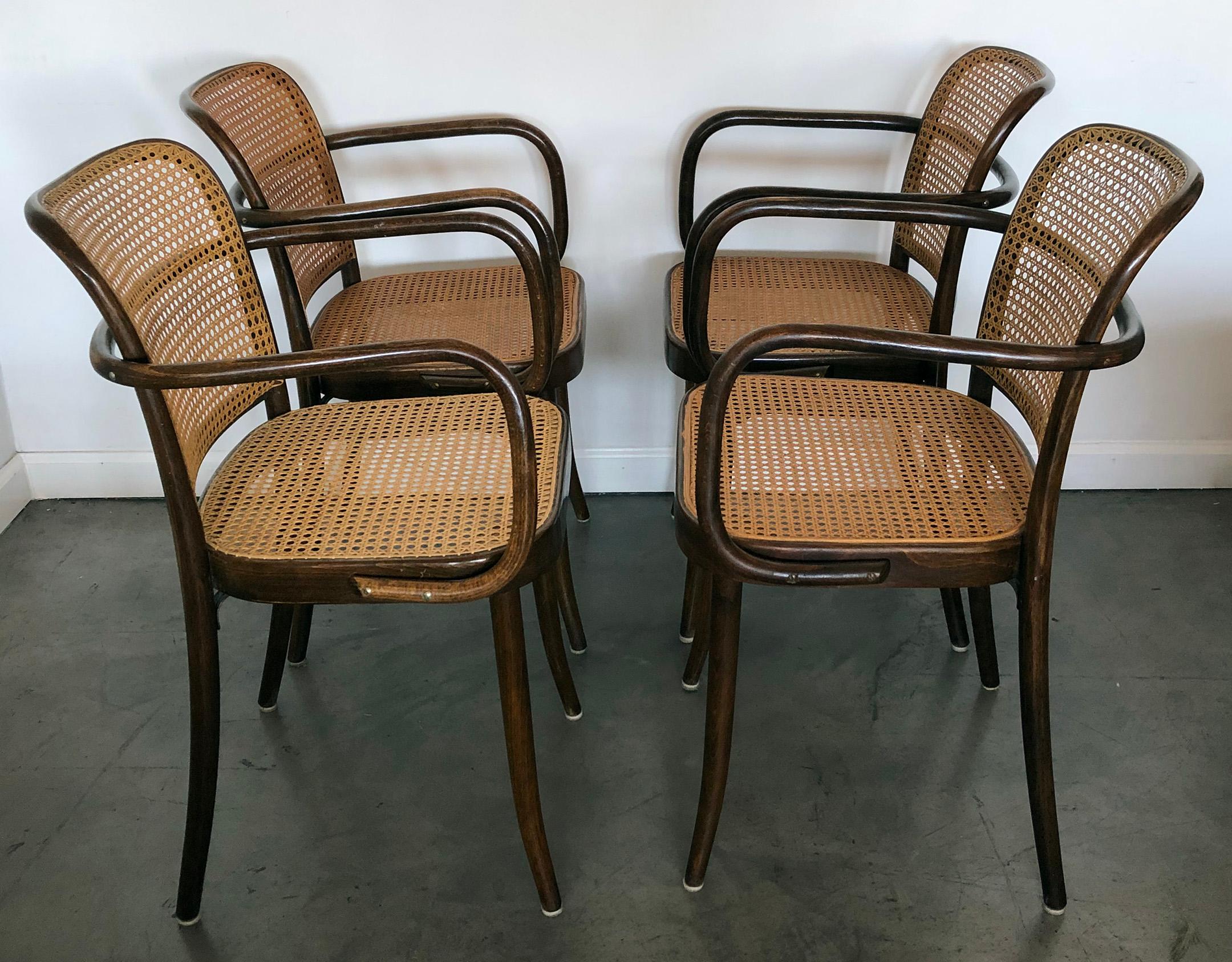 Bauhaus Set of 4 Original Josef Hoffman Prague Chairs for Stendig