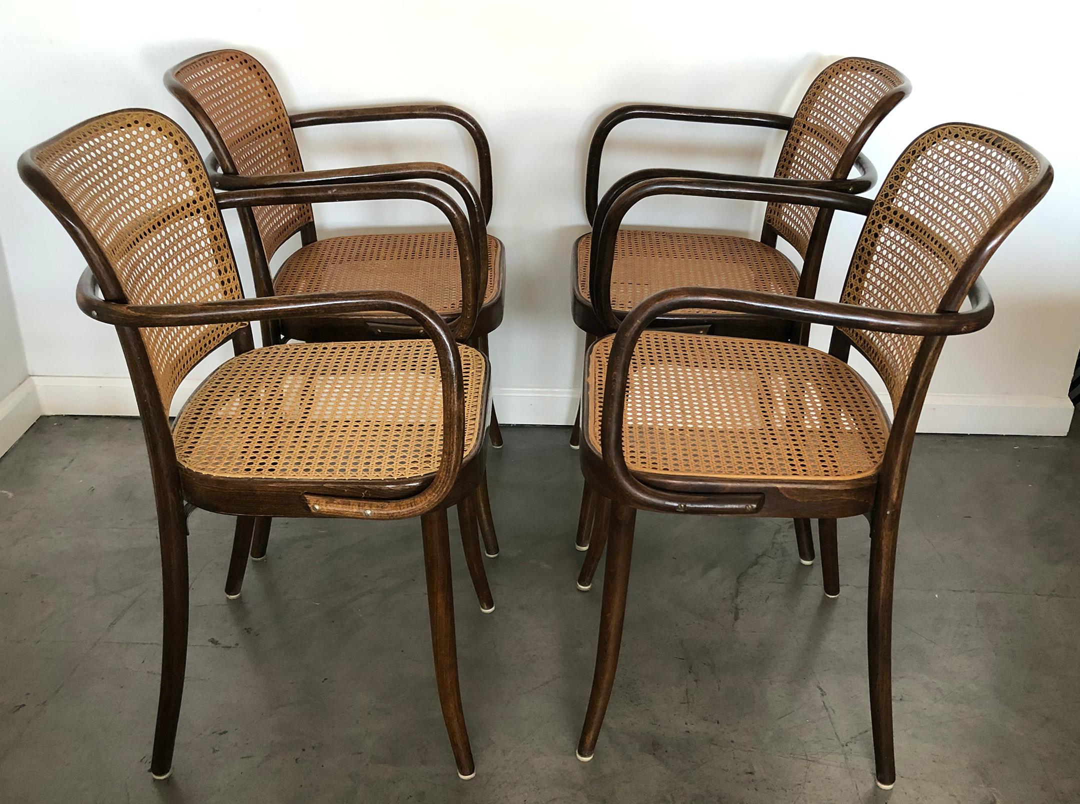 Czech Set of 4 Original Josef Hoffman Prague Chairs for Stendig