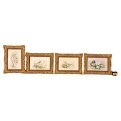 Ensemble de 4 plaques de style victorien signées Royal Worcester 